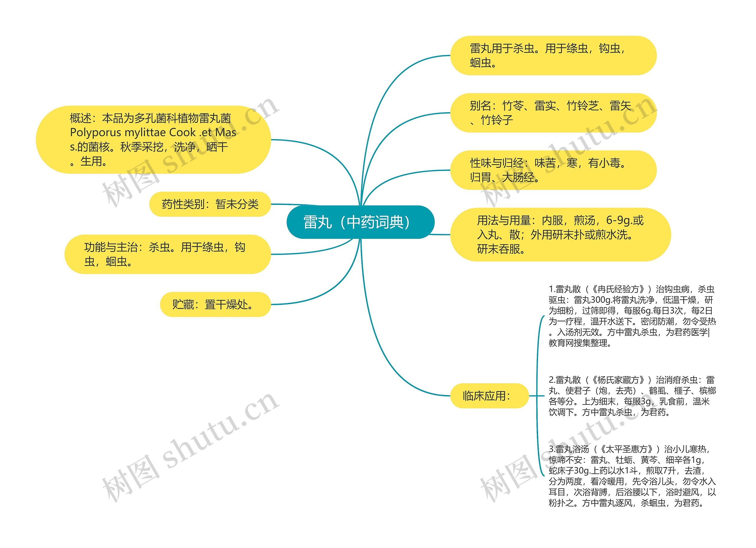 雷丸(中药词典) 雷丸(中药词典)