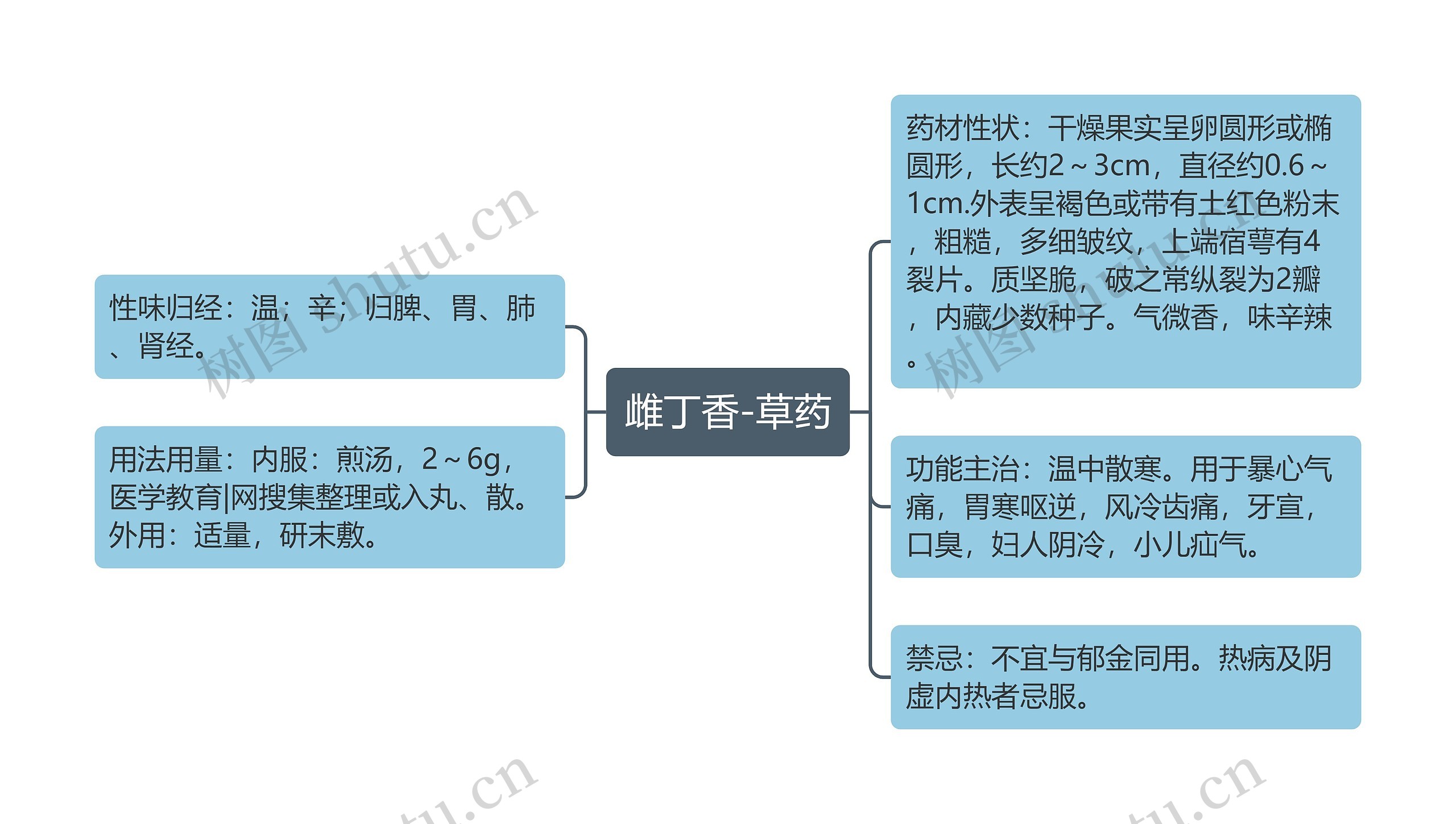 雌丁香-草药思维导图