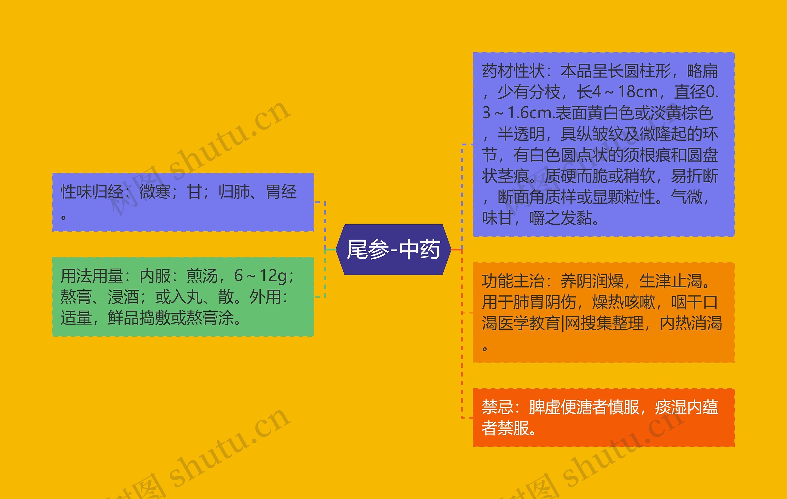 尾参-中药 尾参-中药