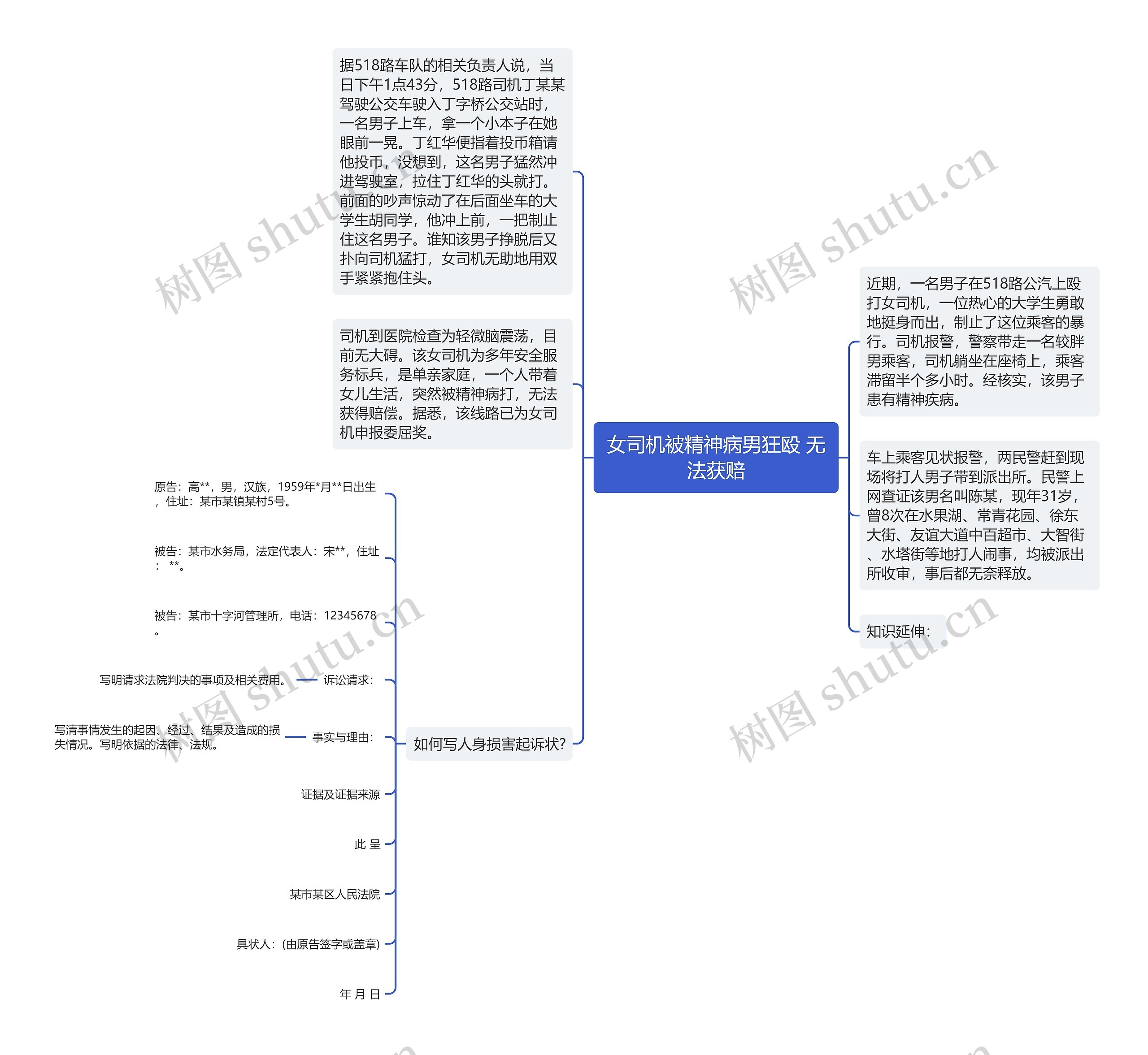 女司机被精神病男狂殴 无法获赔思维导图