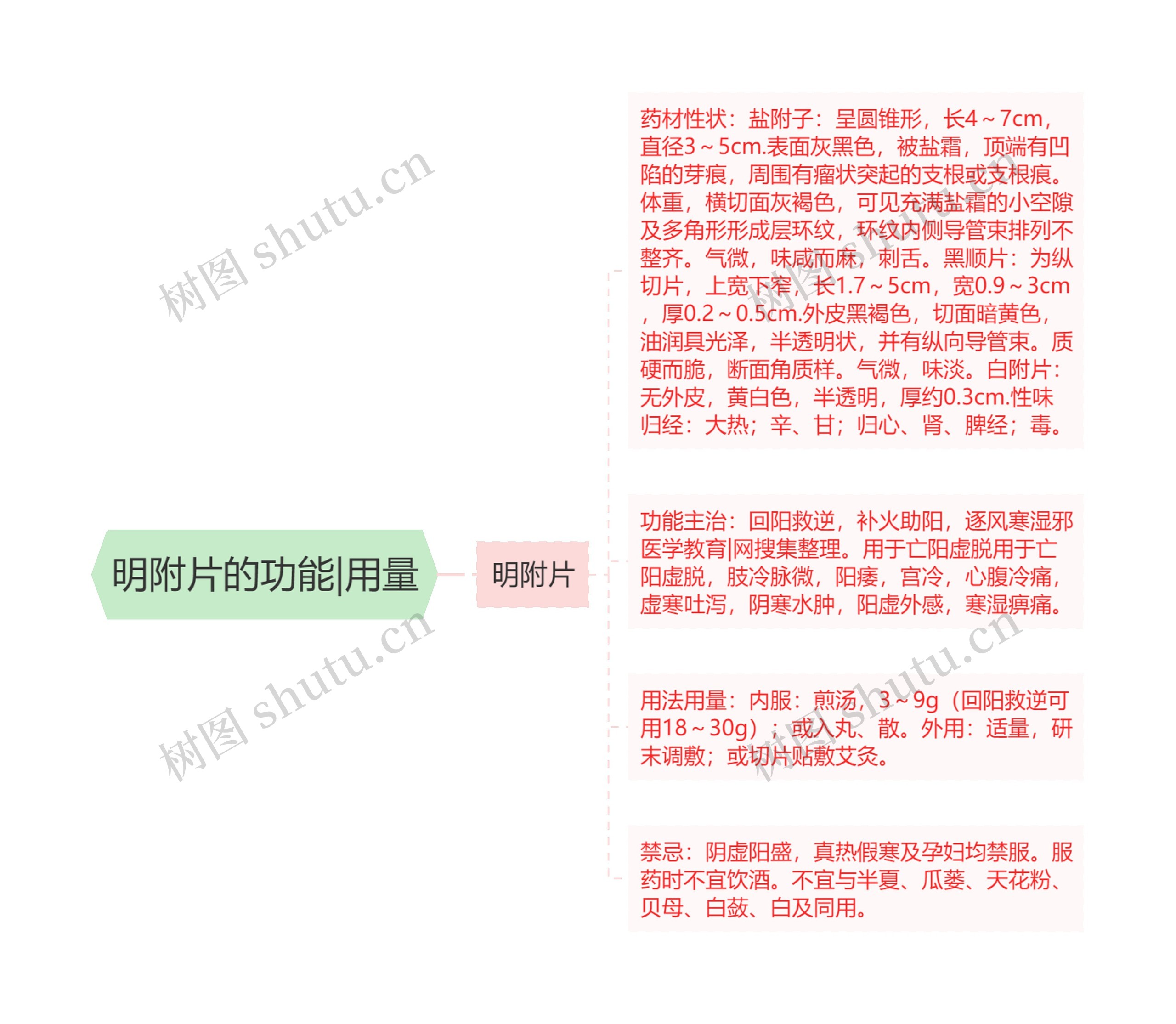 明附片的功能|用量 明附片的功能|用量