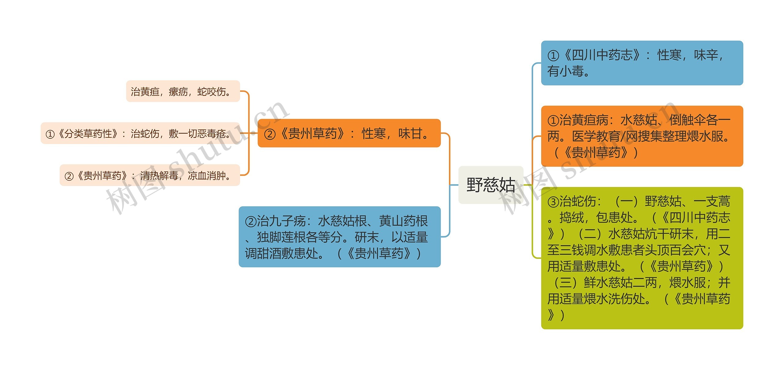 野慈姑思维导图