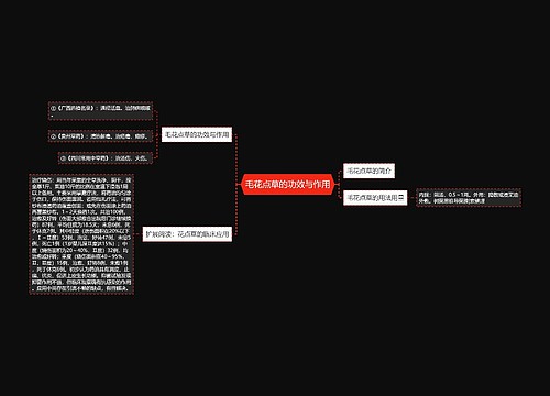 毛花点草的功效与作用
