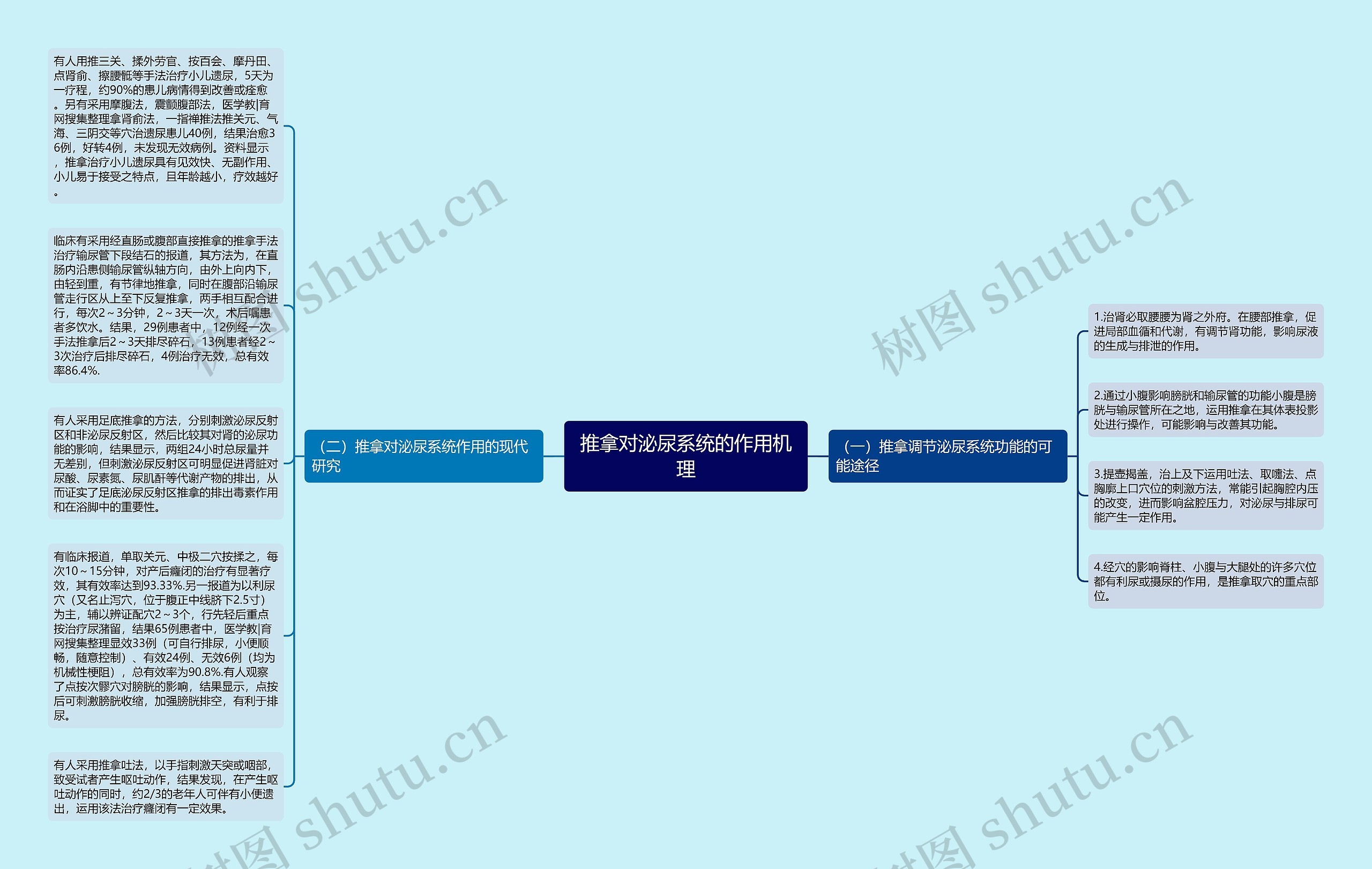 推拿对泌尿系统的作用机理思维导图