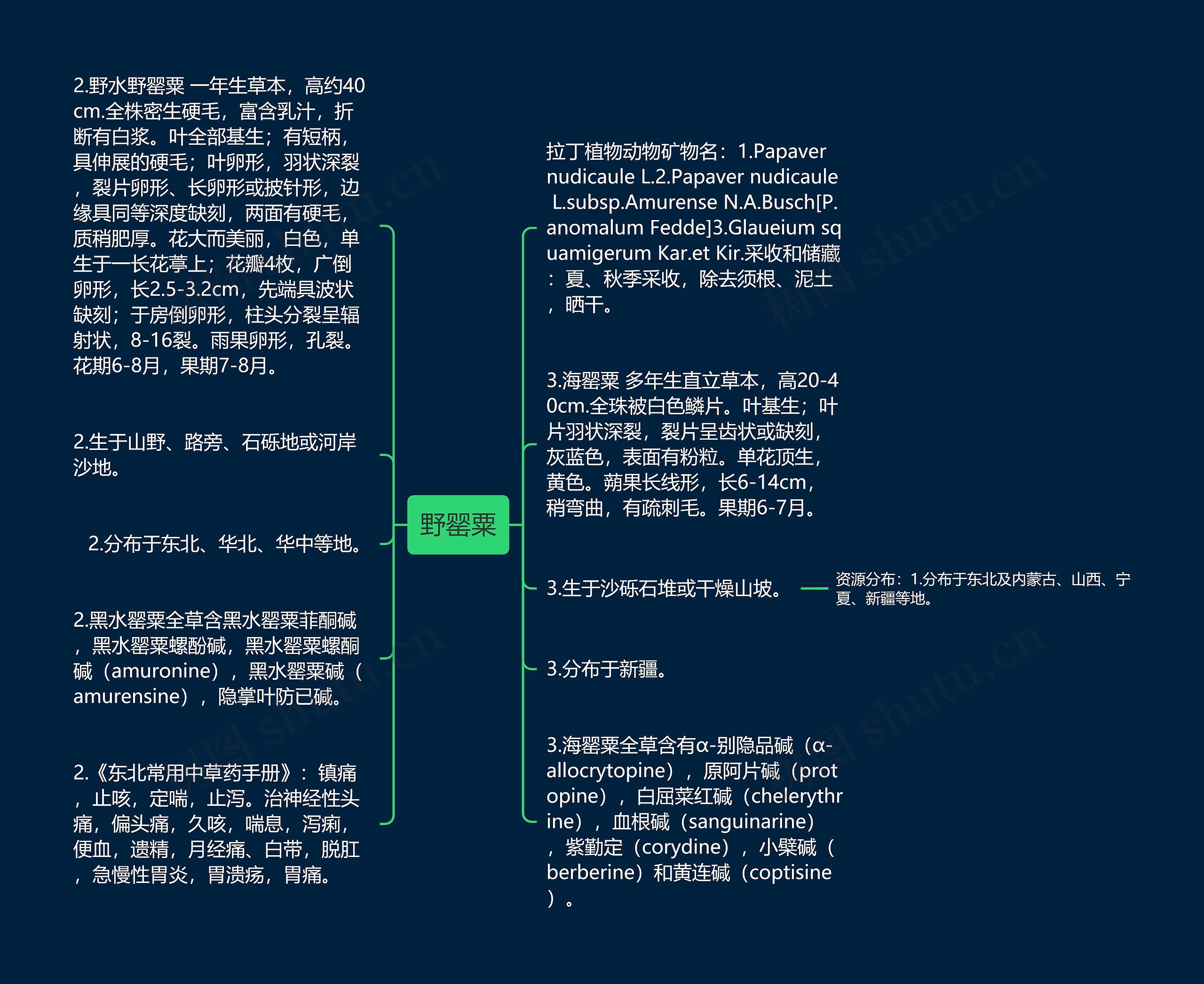 野罂粟思维导图