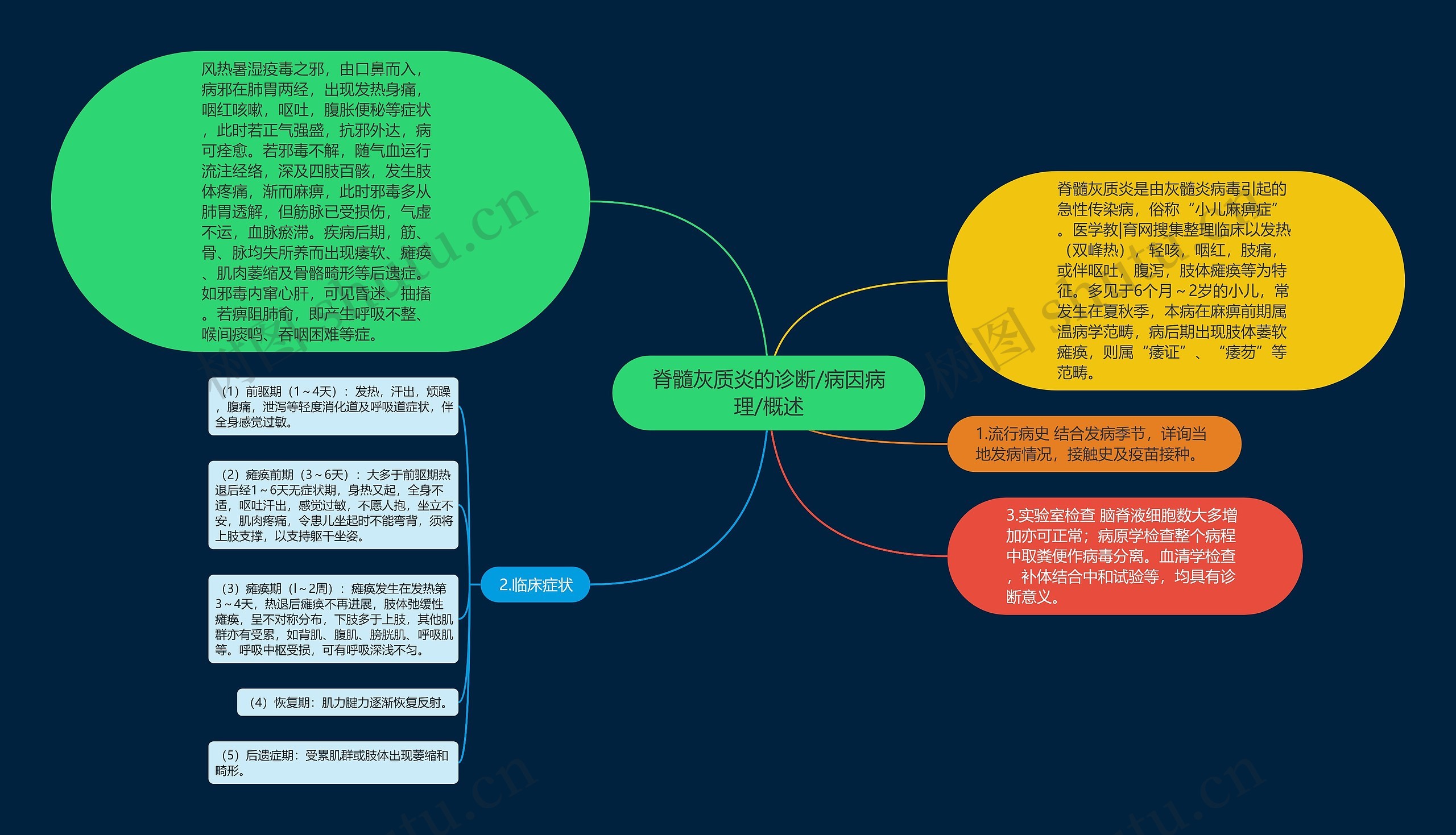 脊髓灰质炎的诊断/病因病理/概述思维导图