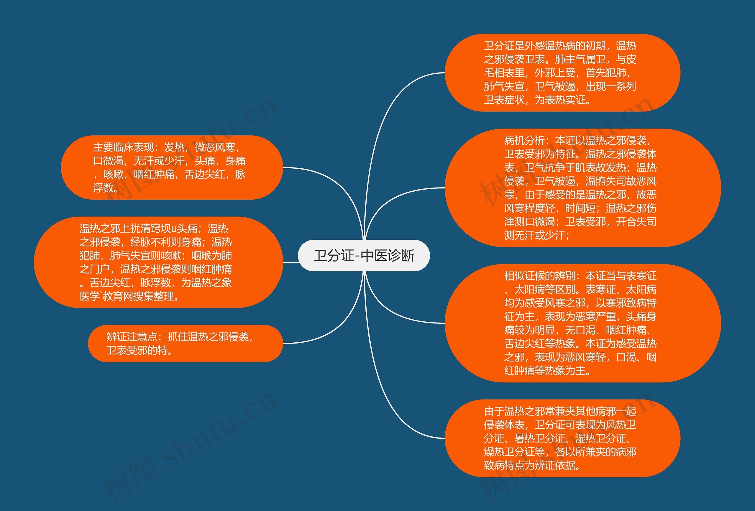 卫分证-中医诊断思维导图