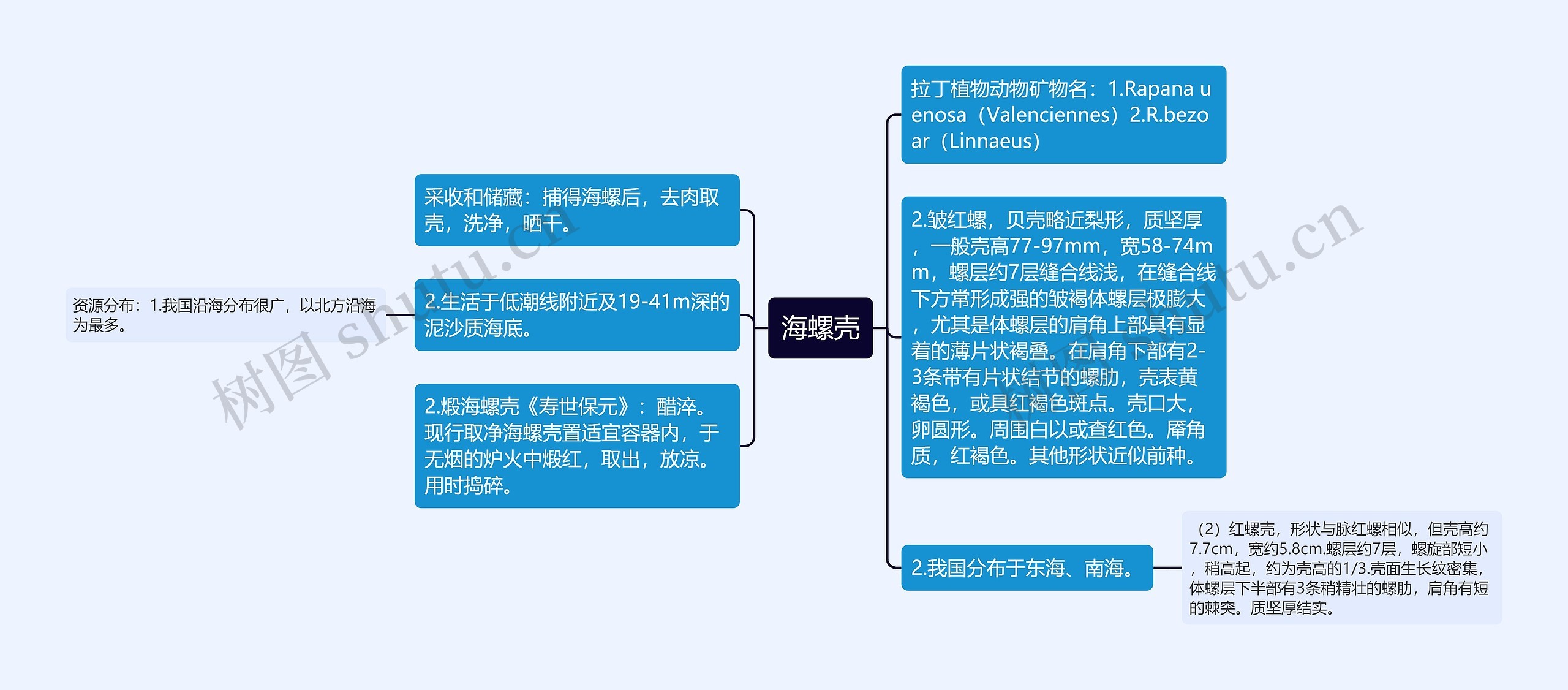 海螺壳思维导图