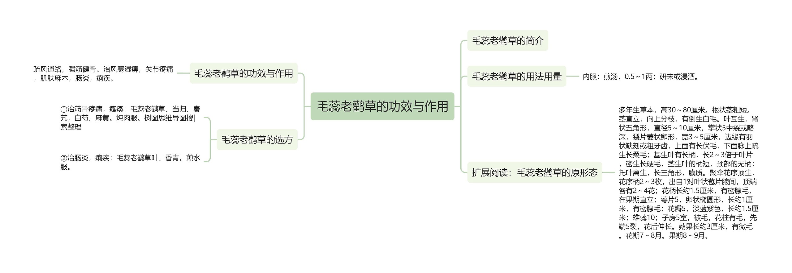 毛蕊老鹳草的功效与作用思维导图