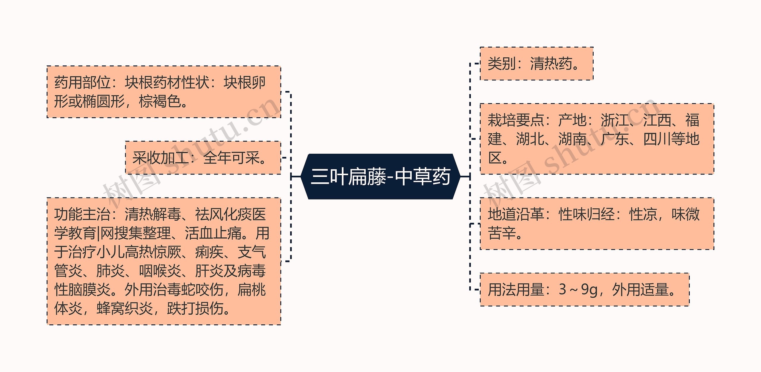 三叶扁藤-中草药思维导图