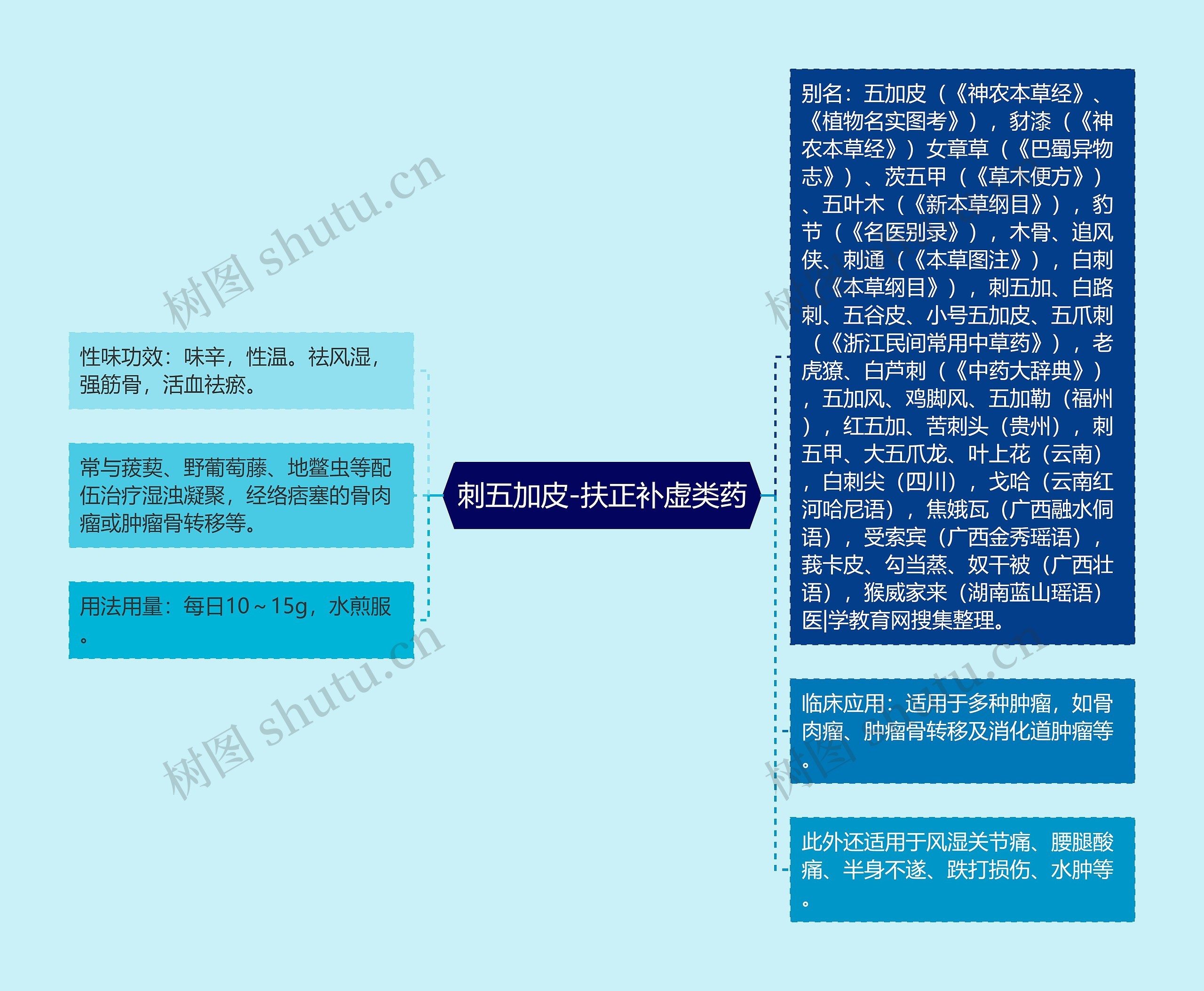 刺五加皮-扶正补虚类药思维导图