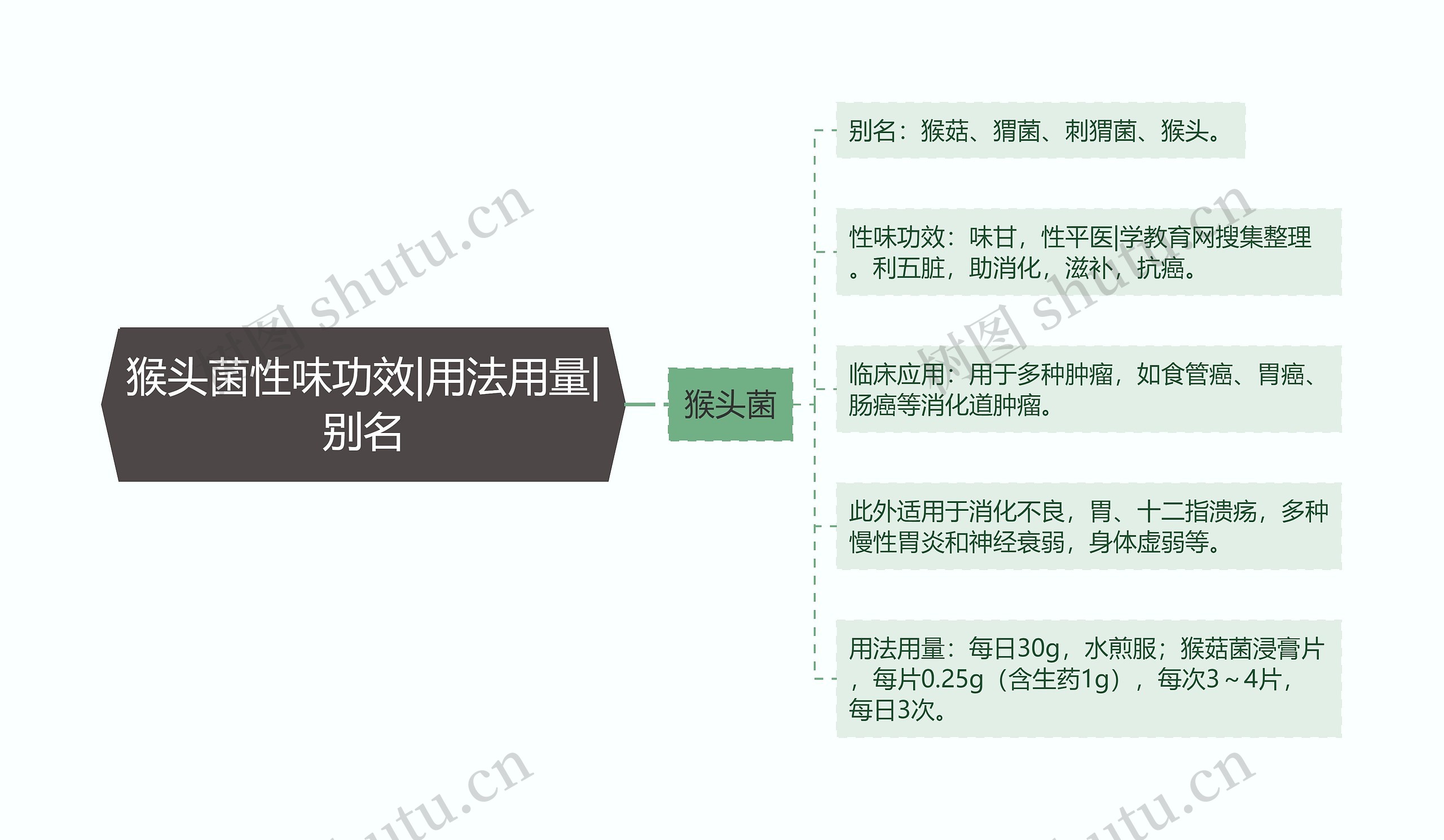 猴头菌性味功效|用法用量|别名思维导图