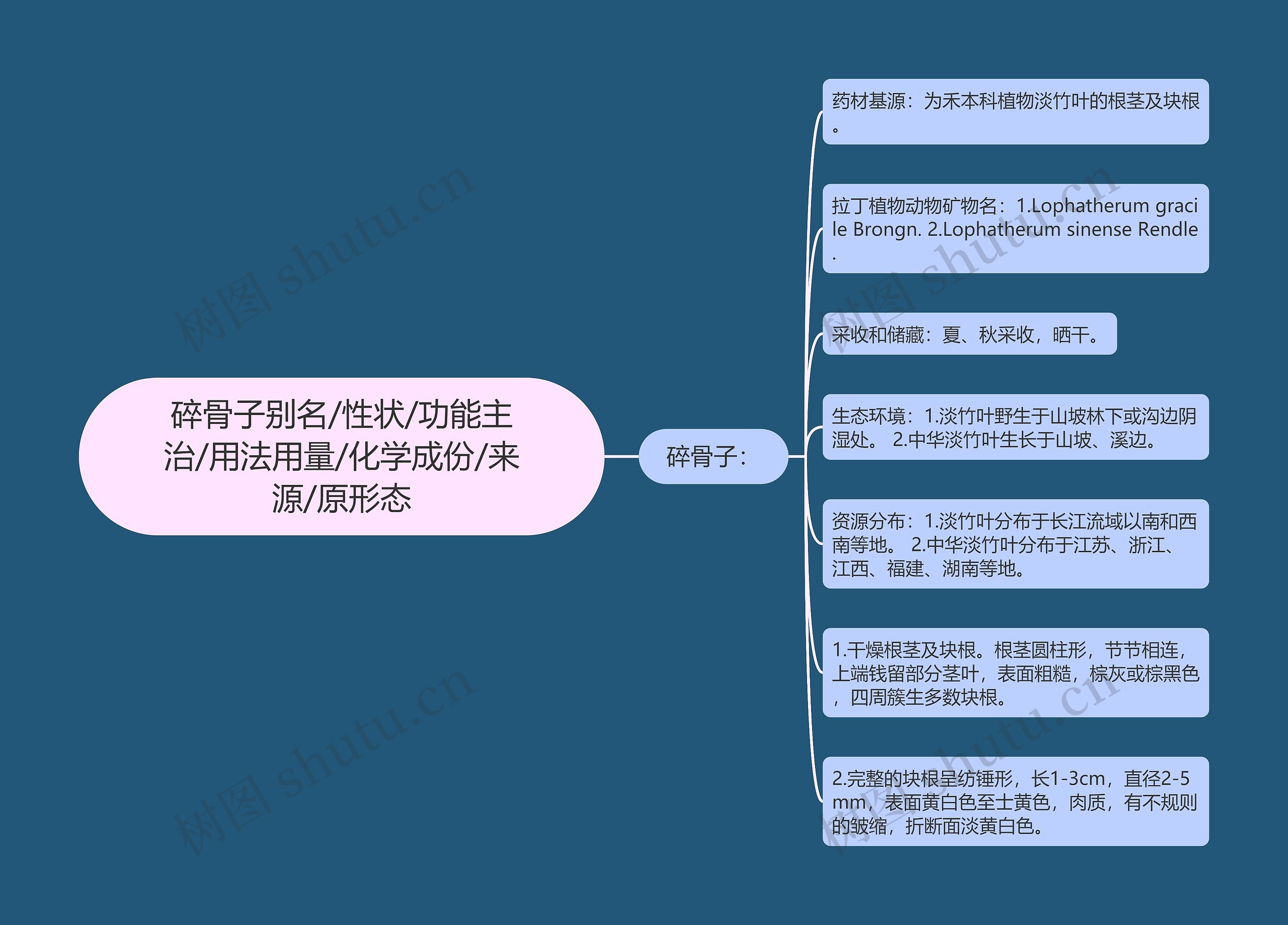 碎骨子别名/性状/功能主治/用法用量/化学成份/来源/原形态思维导图