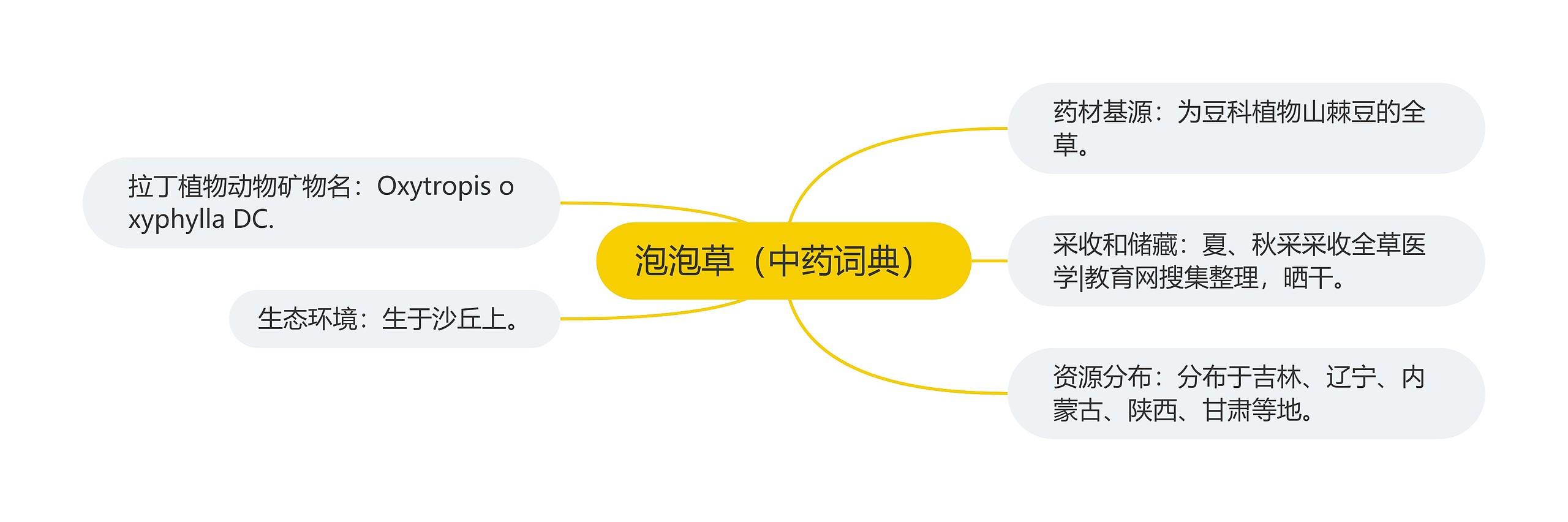 泡泡草(中药词典) 泡泡草(中药词典)