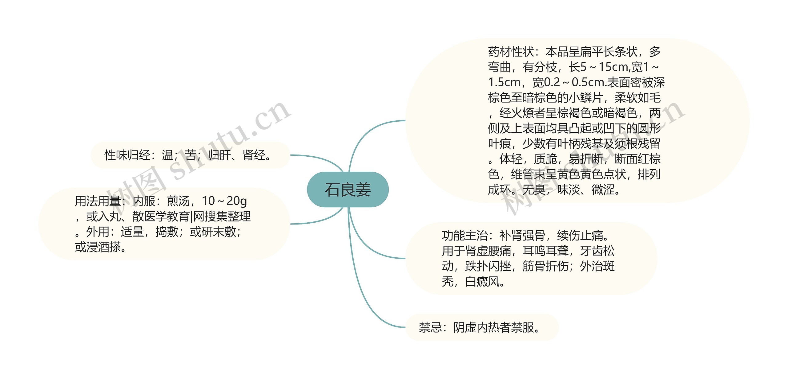 石良姜思维导图