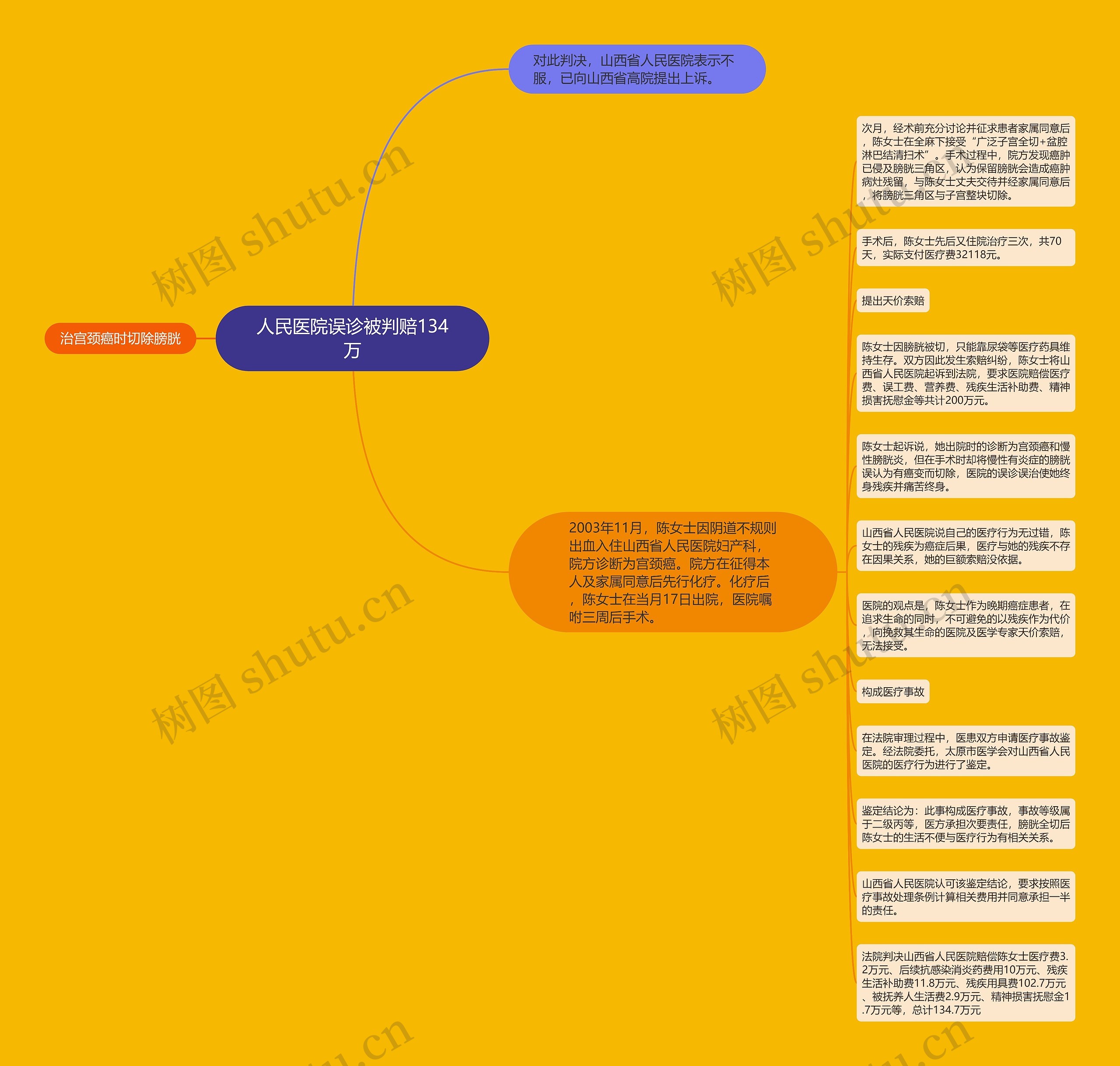 人民医院误诊被判赔134万思维导图