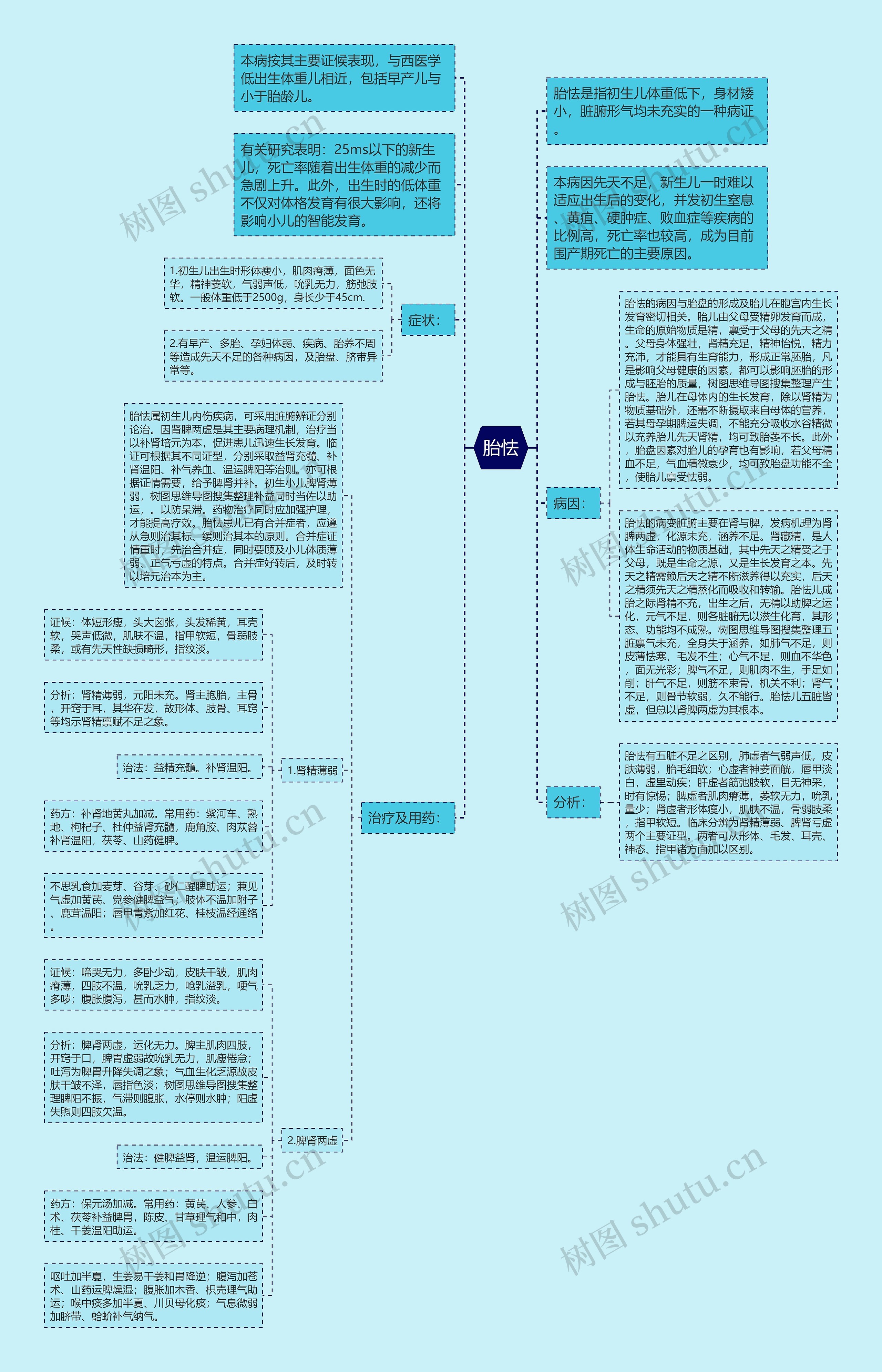 胎怯思维导图