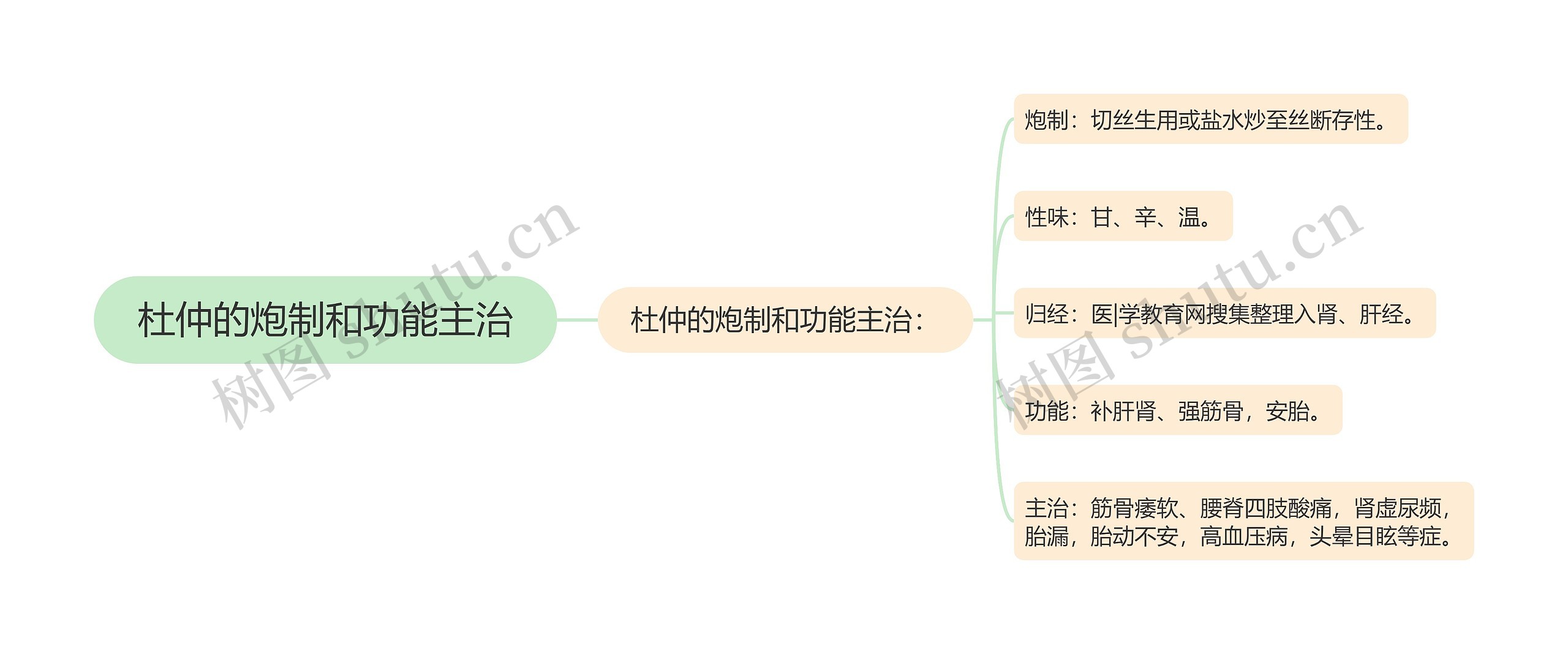 杜仲的炮制和功能主治思维导图