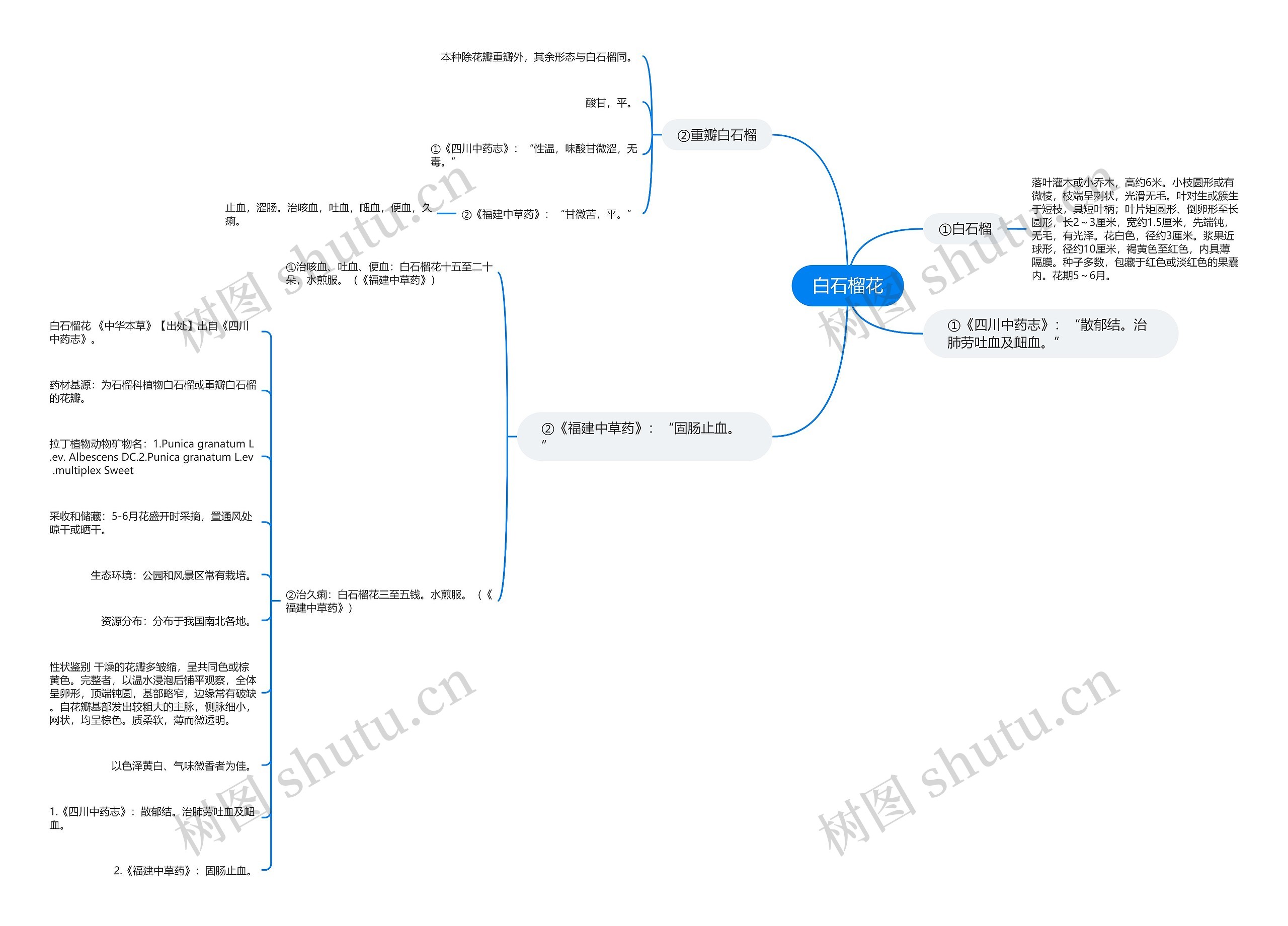 白石榴花思维导图
