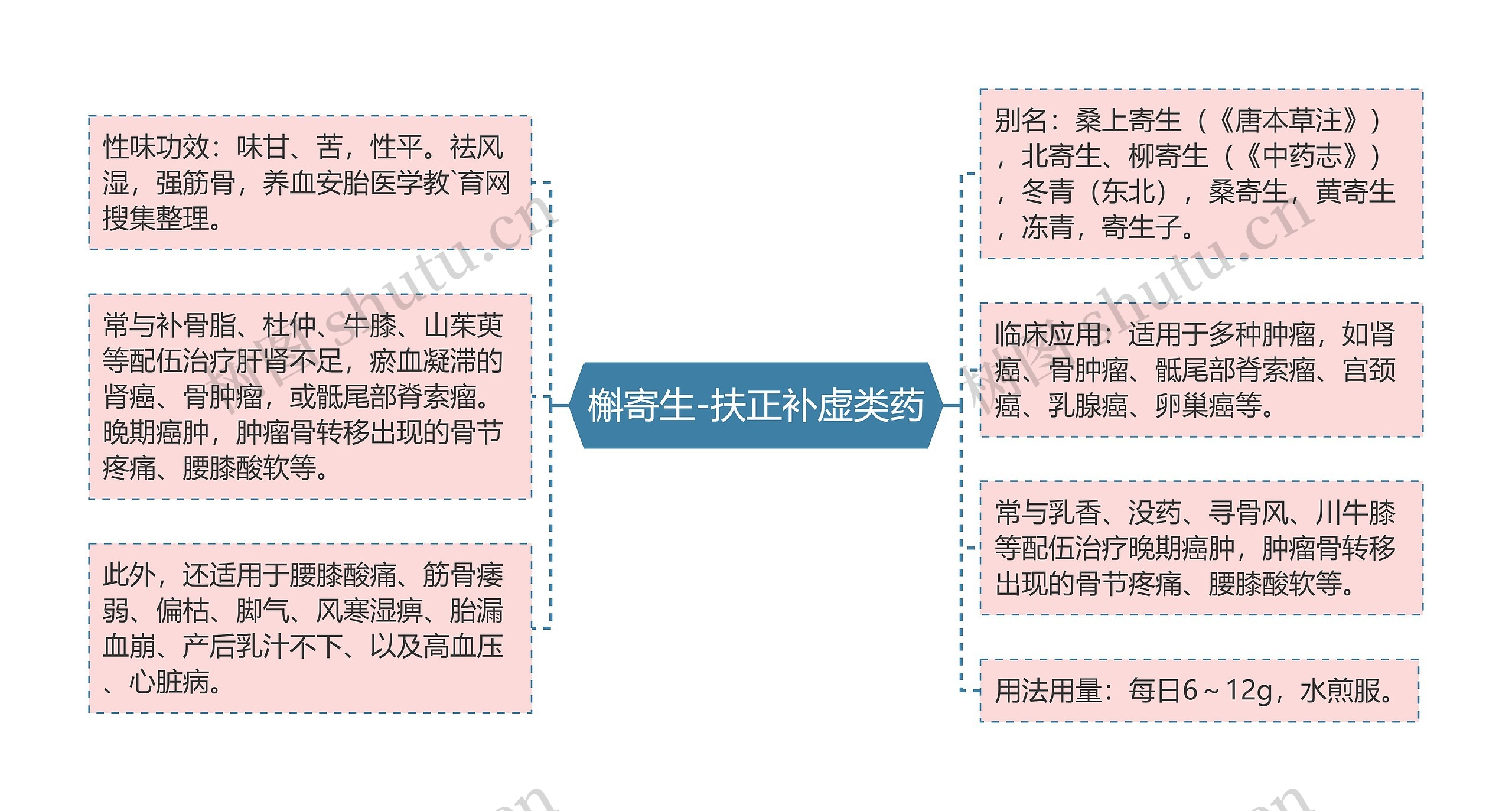 槲寄生-扶正补虚类药