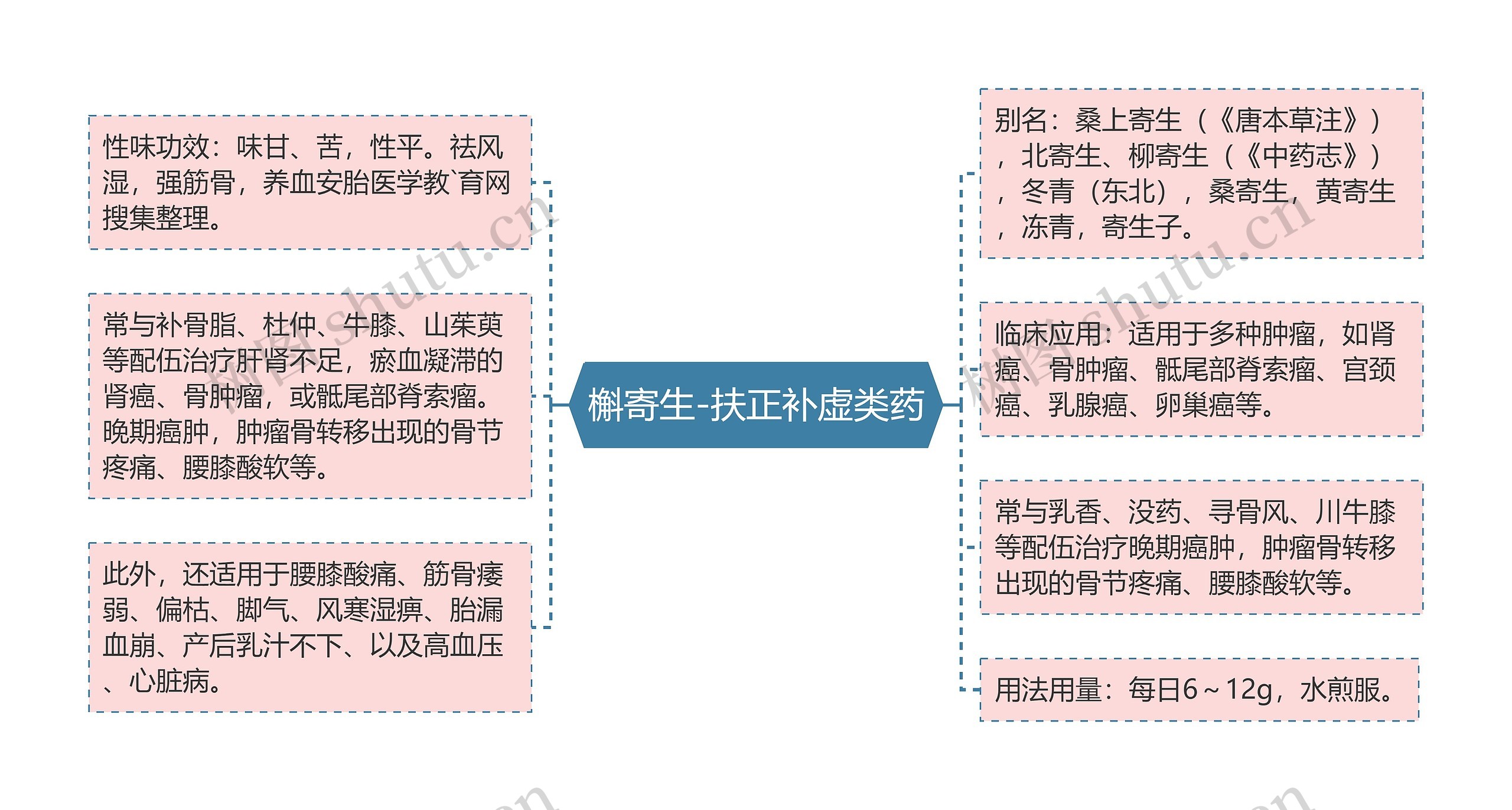 槲寄生-扶正补虚类药思维导图