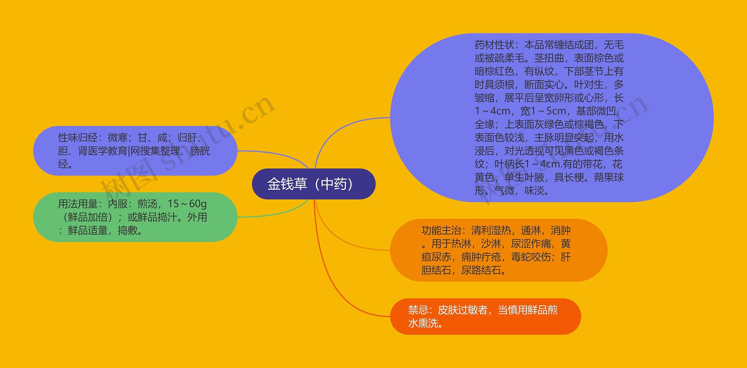 金钱草（中药）思维导图