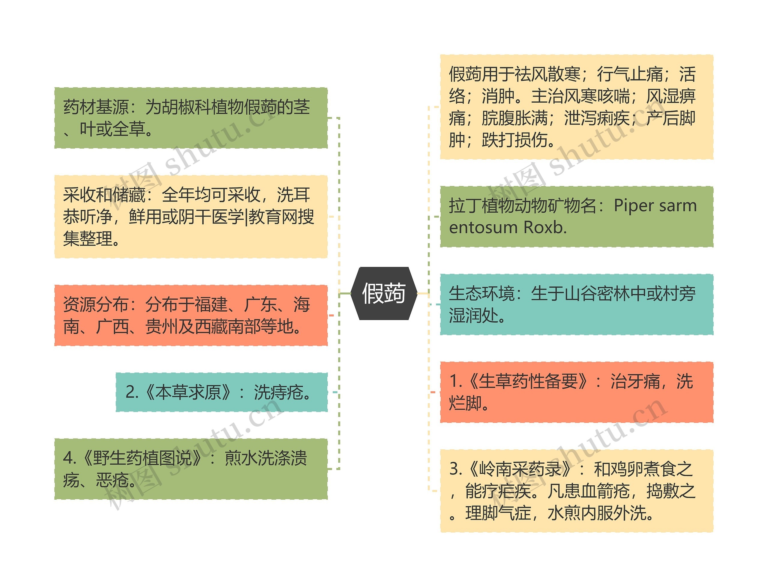 假蒟思维导图