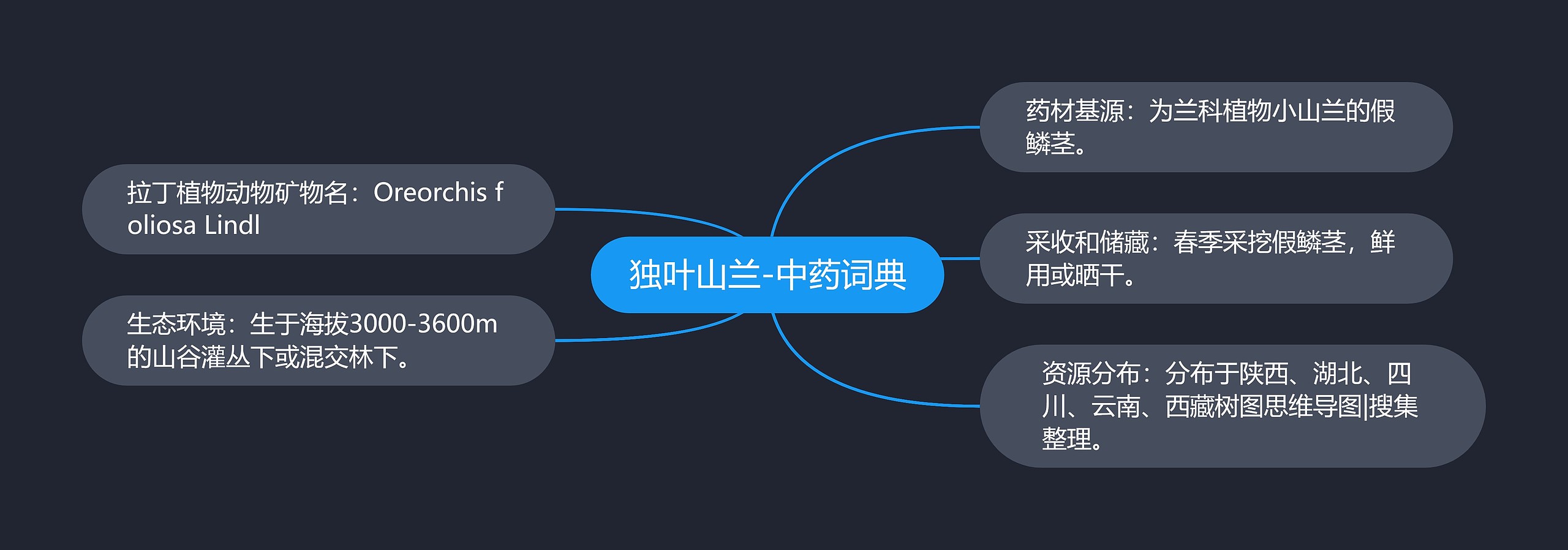 独叶山兰-中药词典思维导图