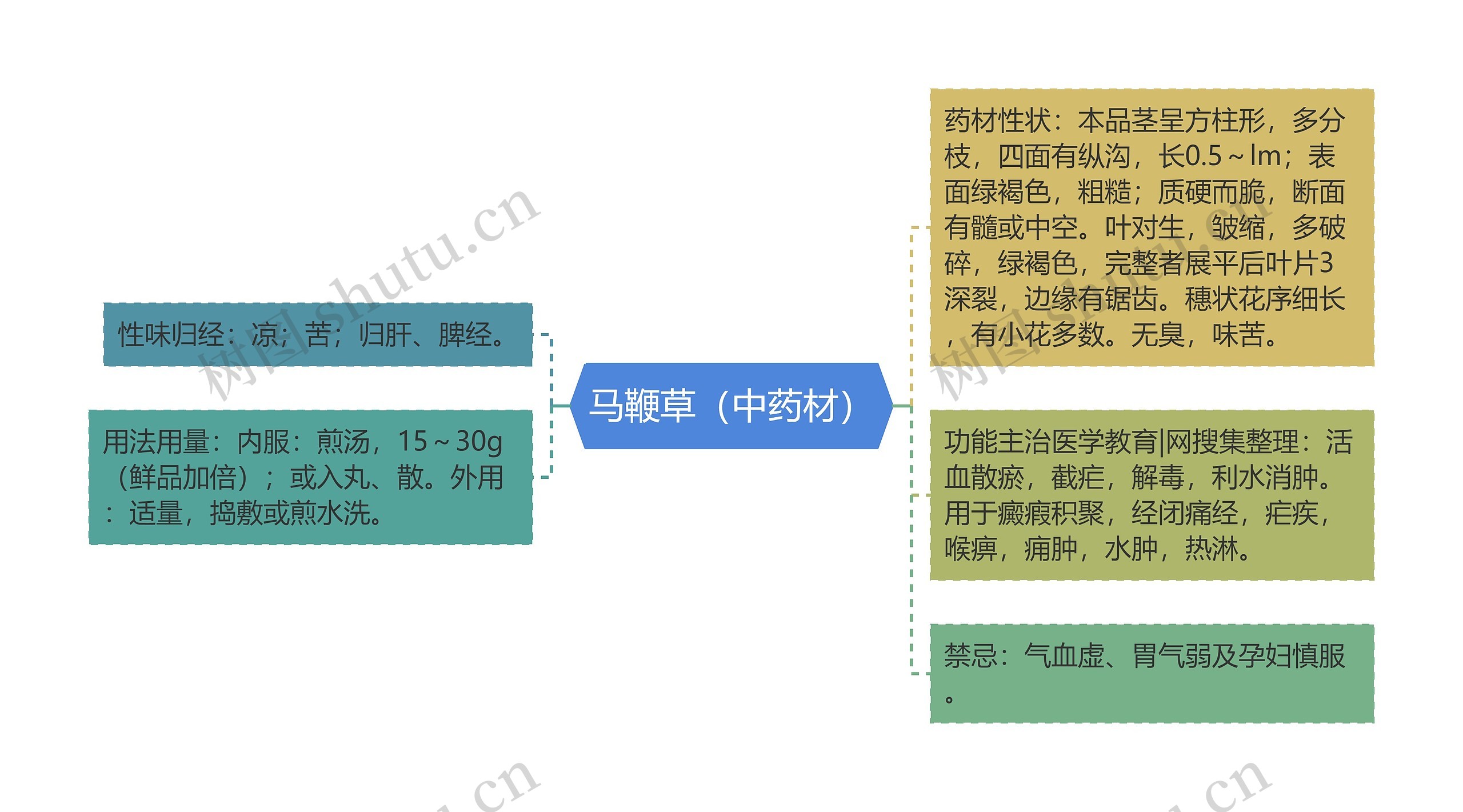 马鞭草（中药材）思维导图