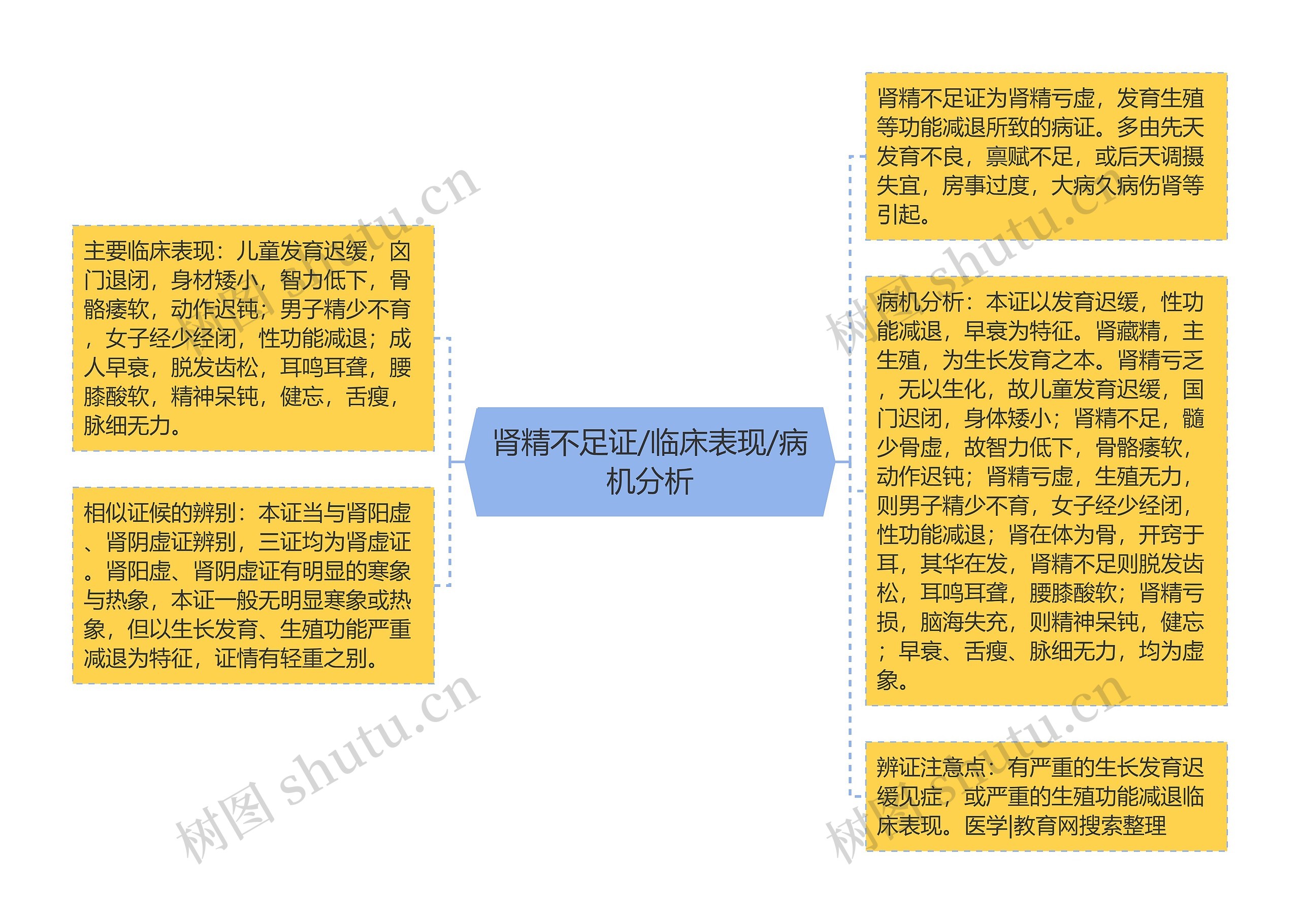 肾精不足证/临床表现/病机分析思维导图