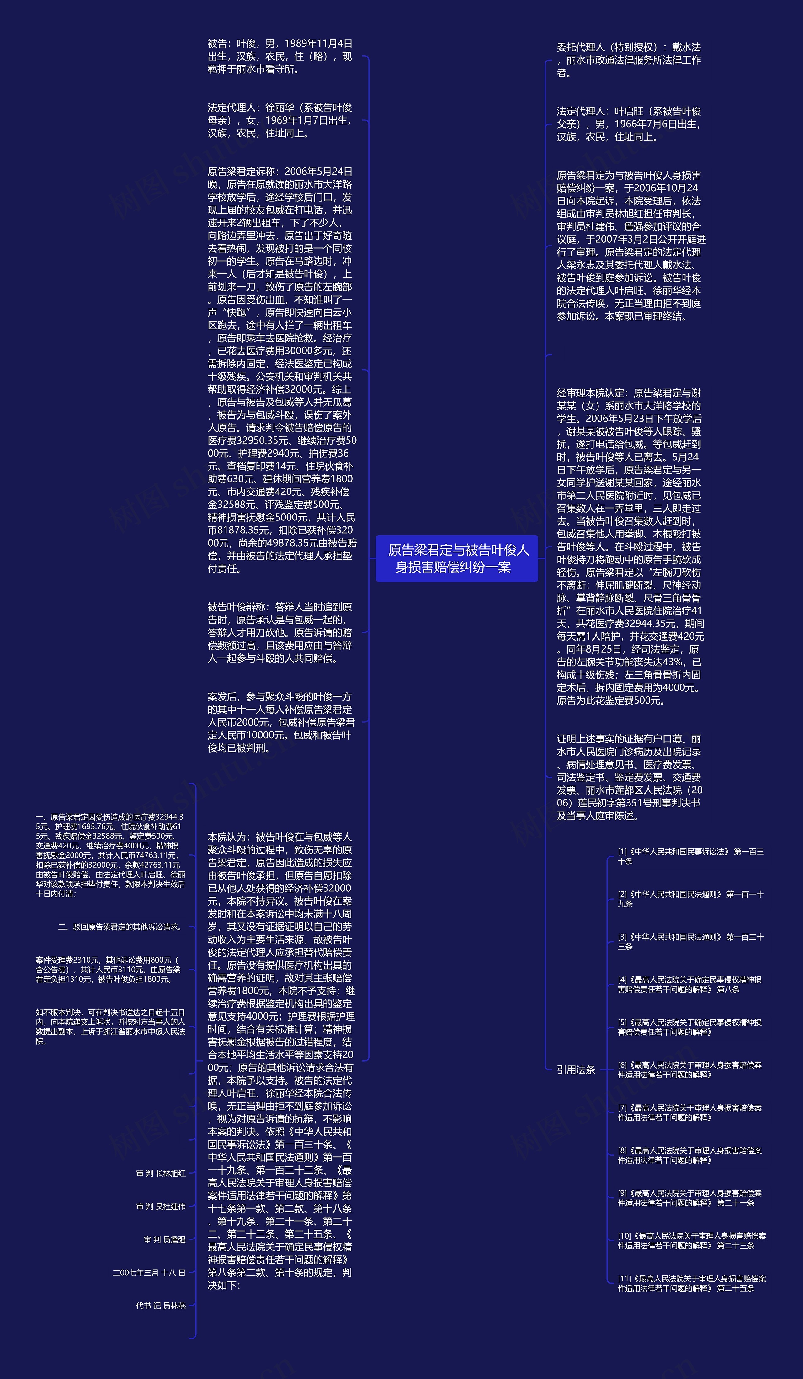  原告梁君定与被告叶俊人身损害赔偿纠纷一案  思维导图