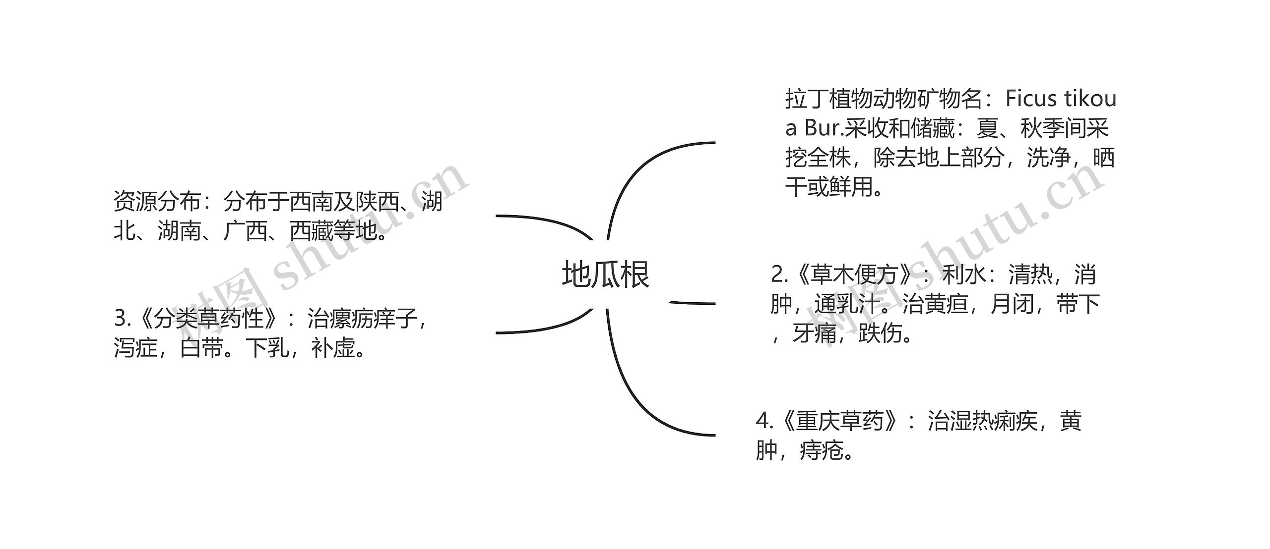 地瓜根思维导图