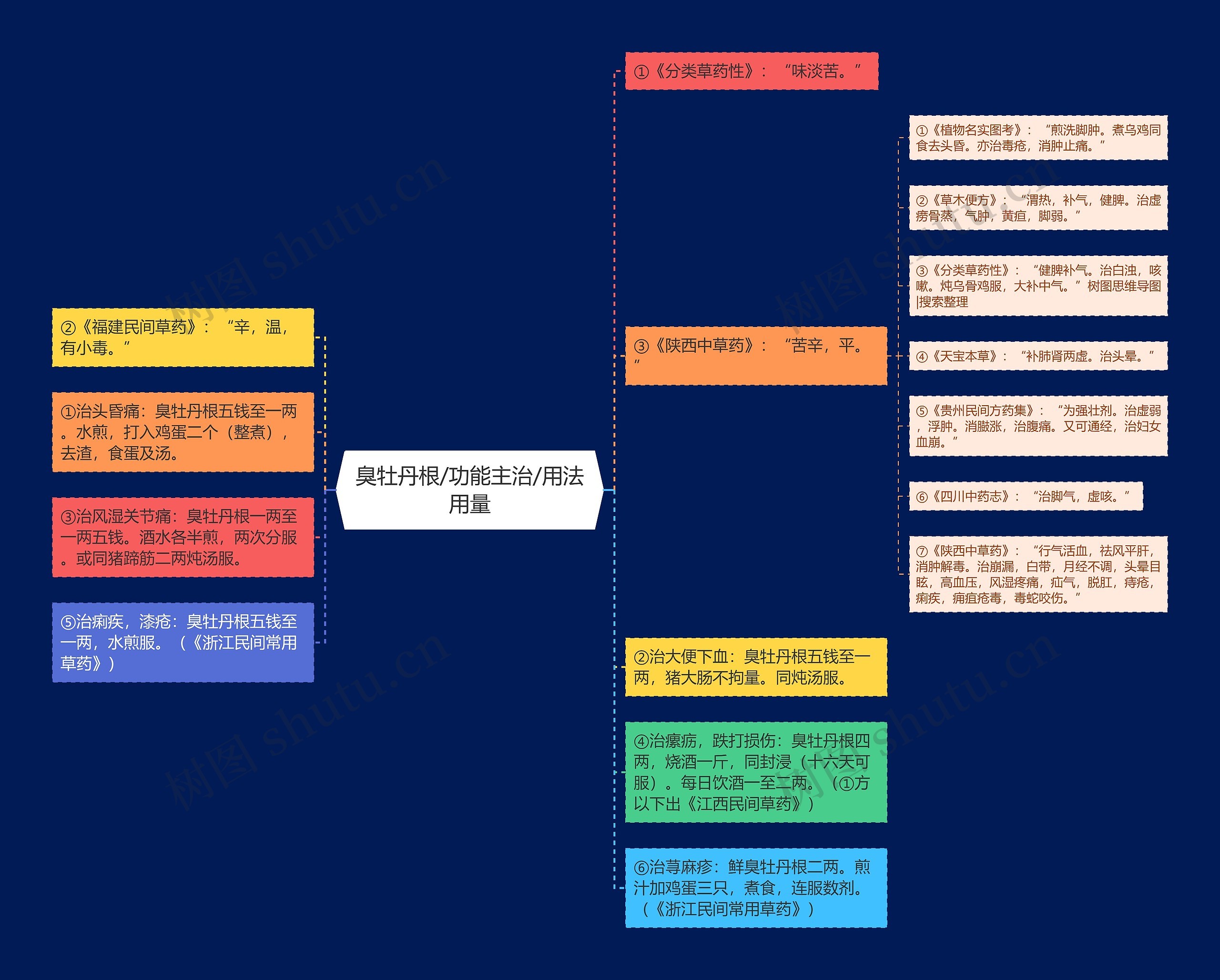 臭牡丹根/功能主治/用法用量 臭牡丹根/功能主治/用法用量