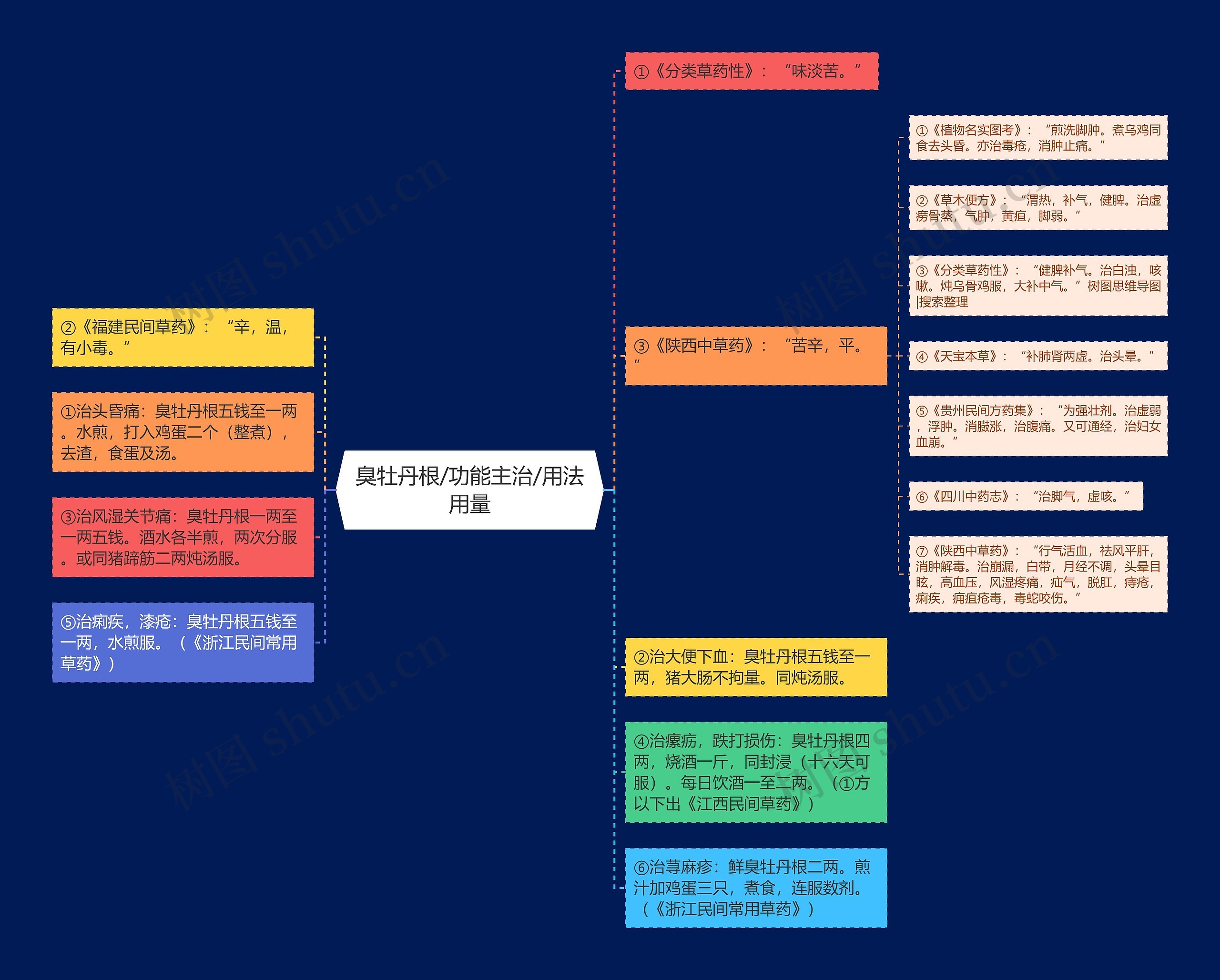 臭牡丹根/功能主治/用法用量思维导图