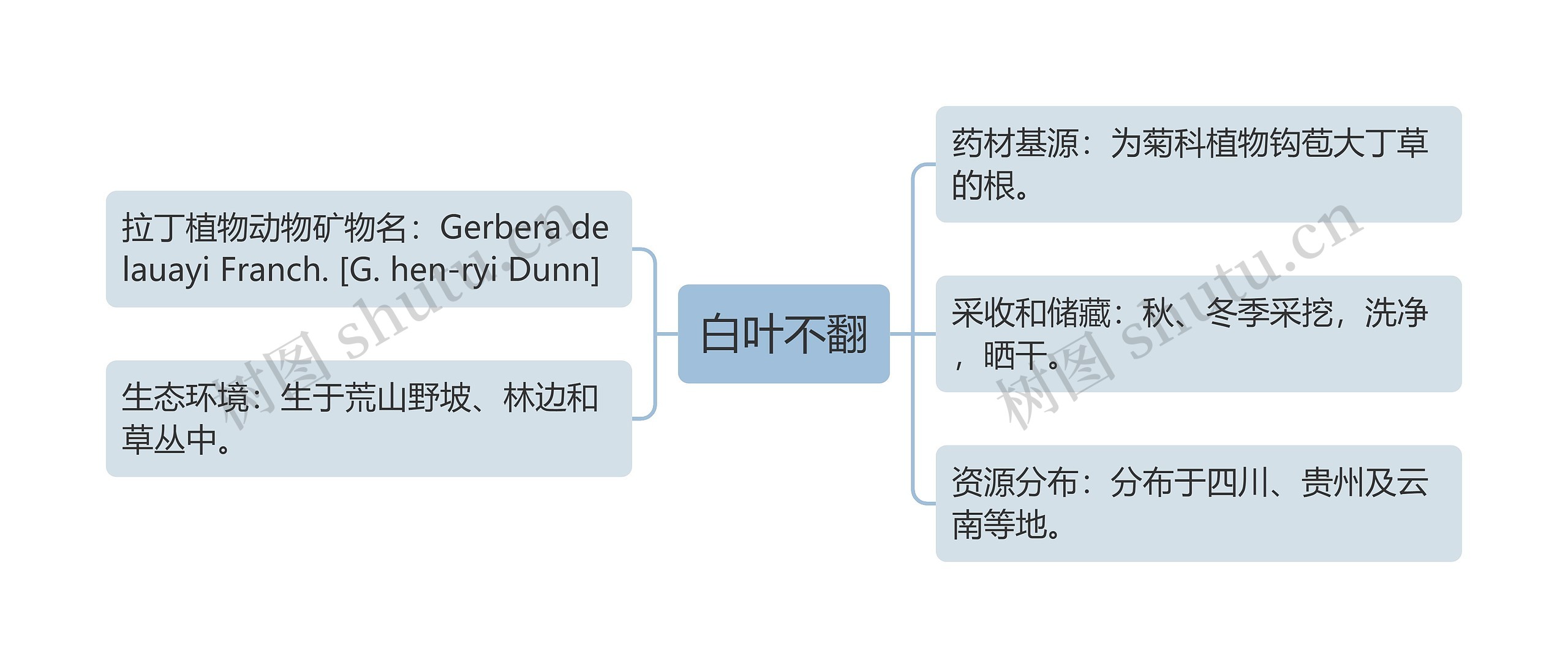 白叶不翻思维导图