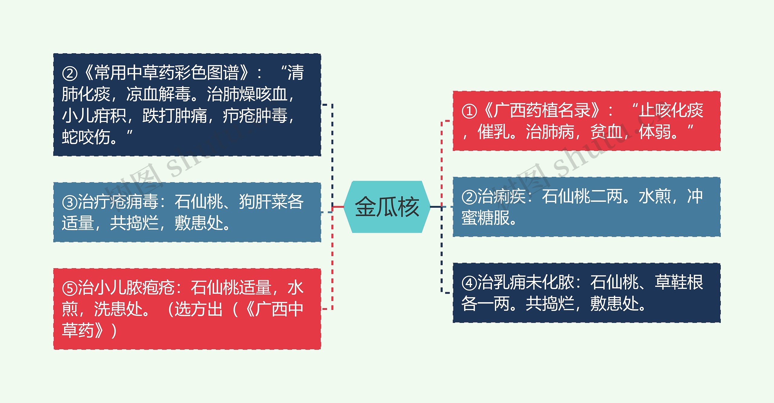 金瓜核思维导图