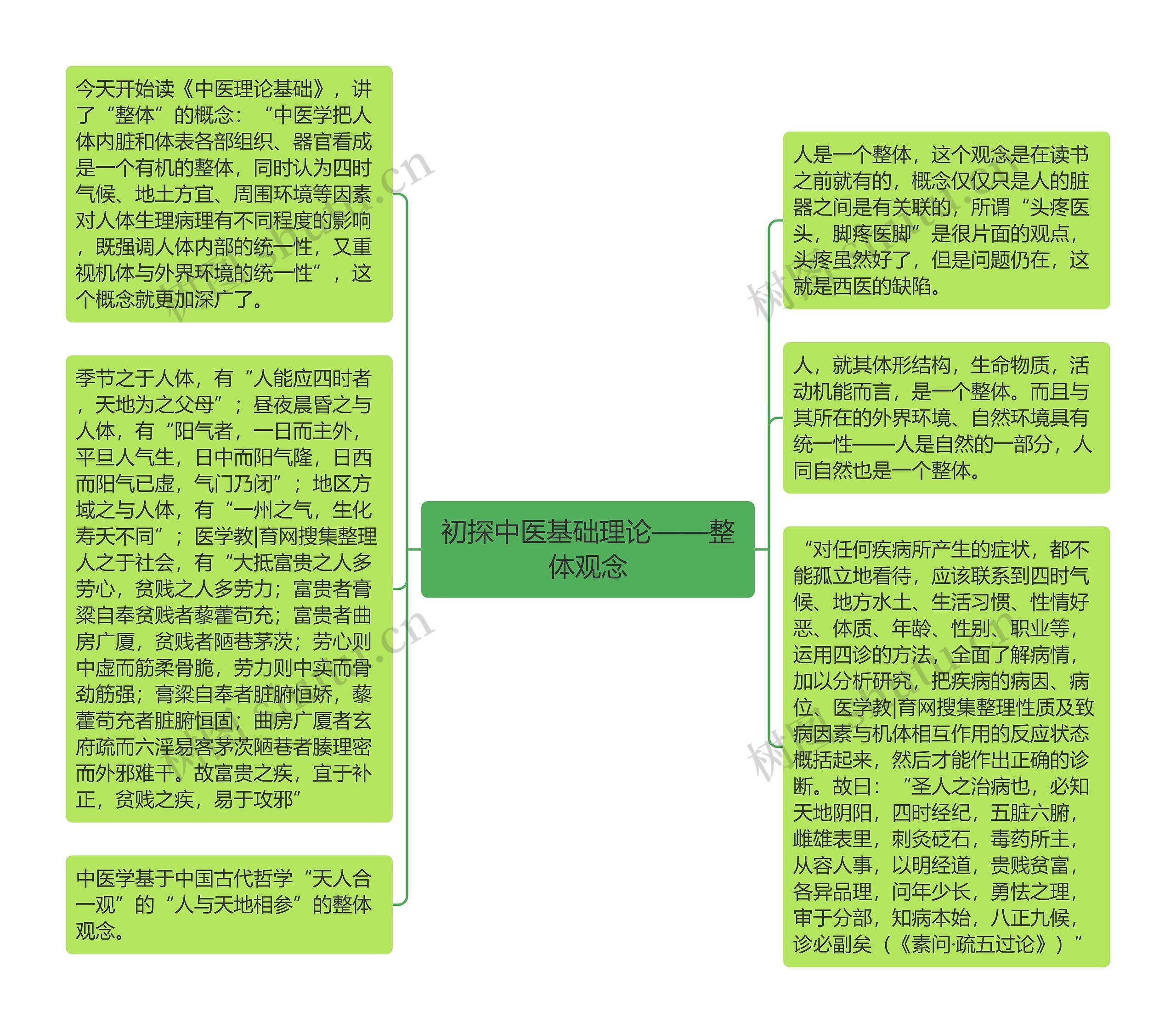 初探中医基础理论——整体观念