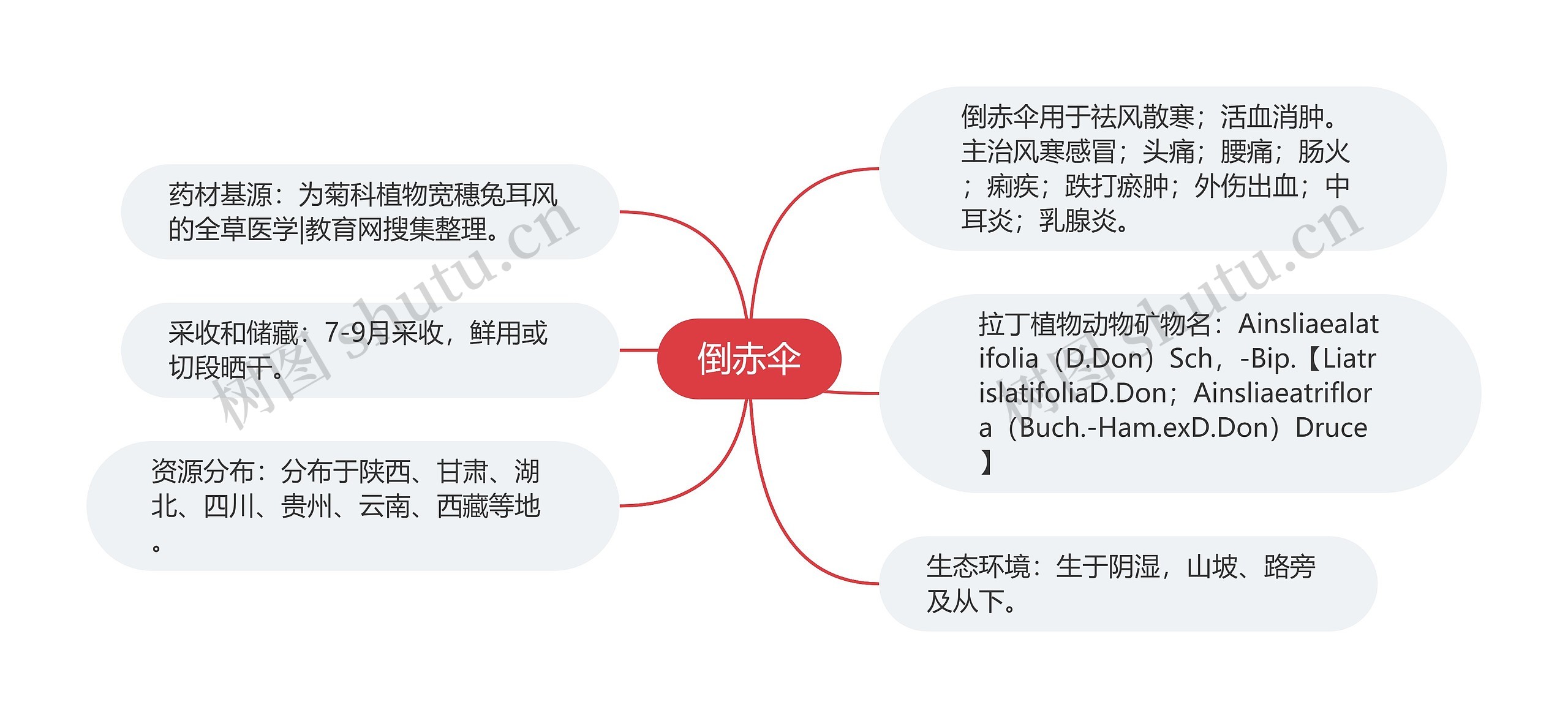 倒赤伞思维导图