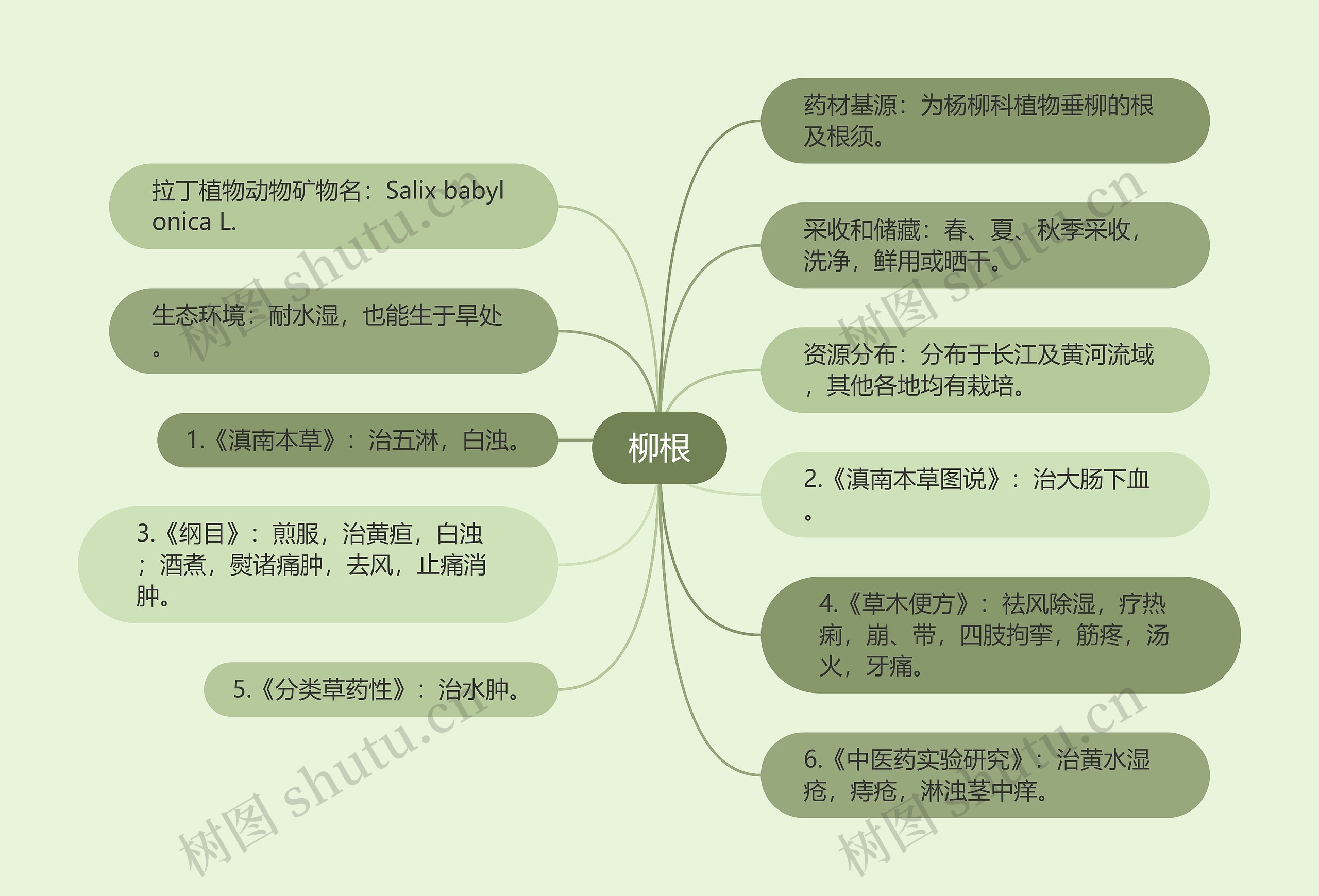 柳根思维导图