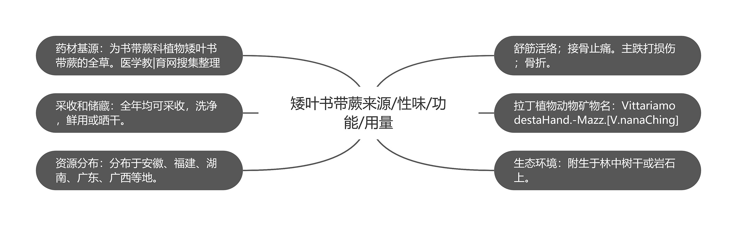 矮叶书带蕨来源/性味/功能/用量