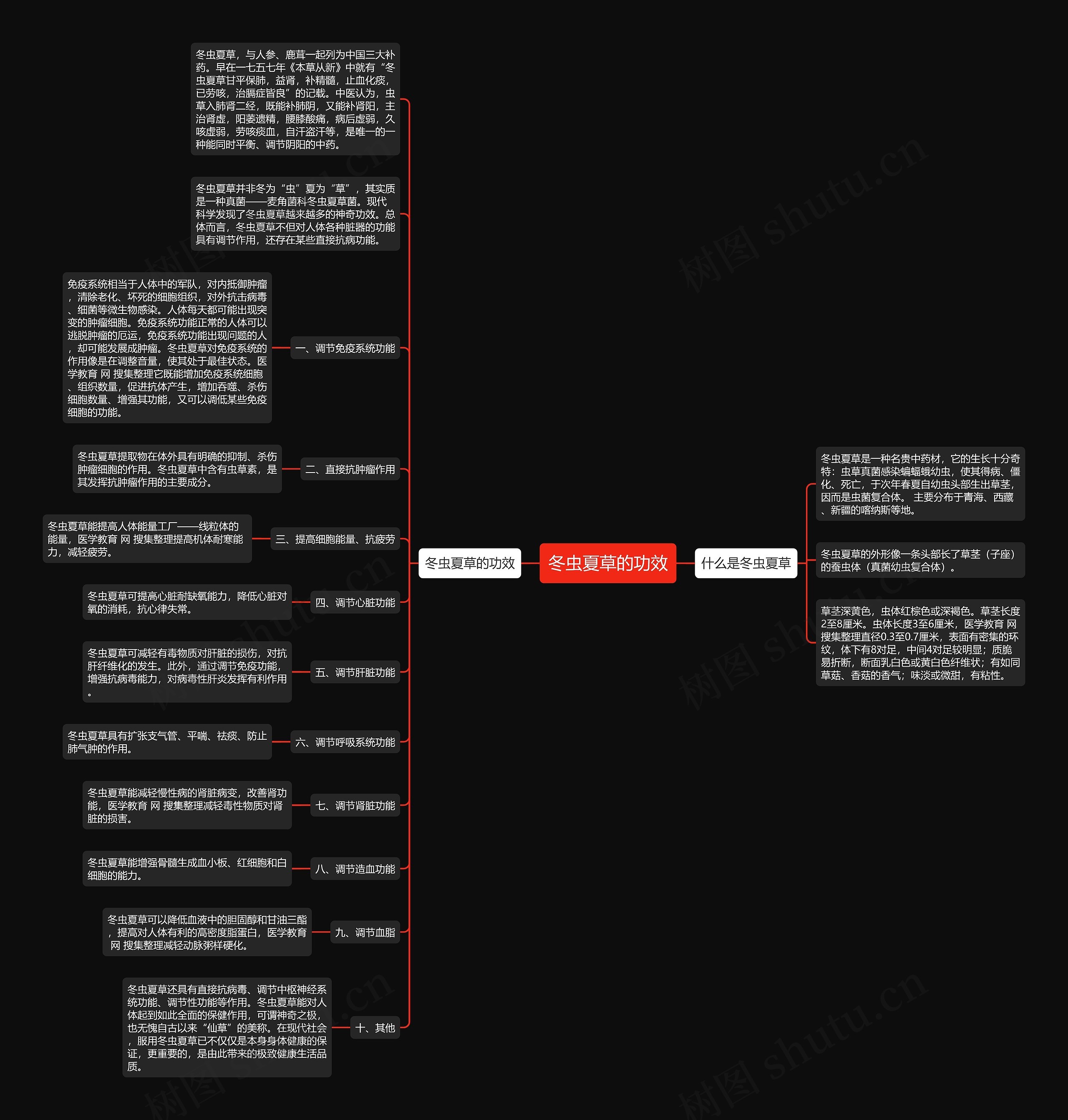 冬虫夏草的功效思维导图