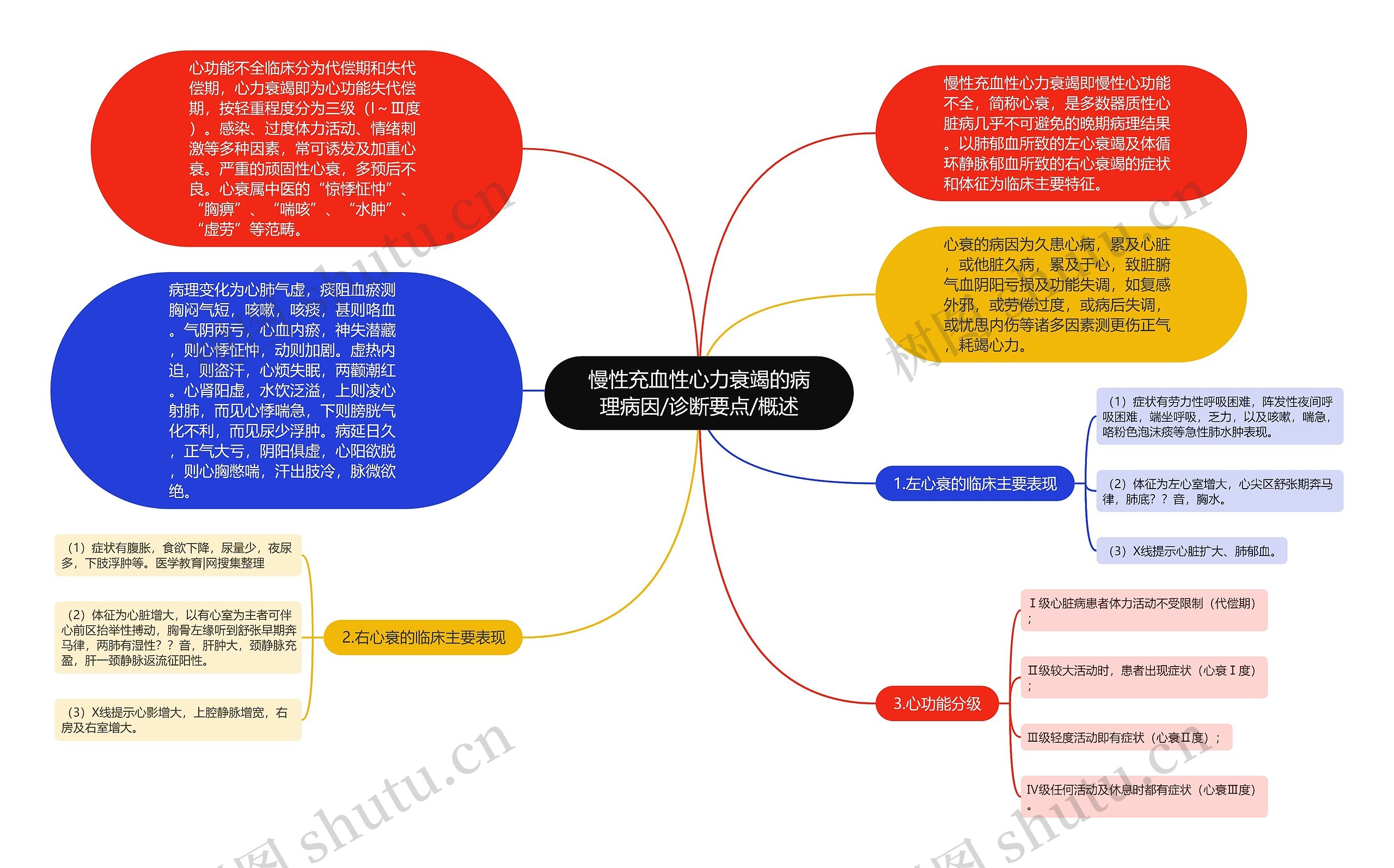 慢性充血性心力衰竭的病理病因/诊断要点/概述