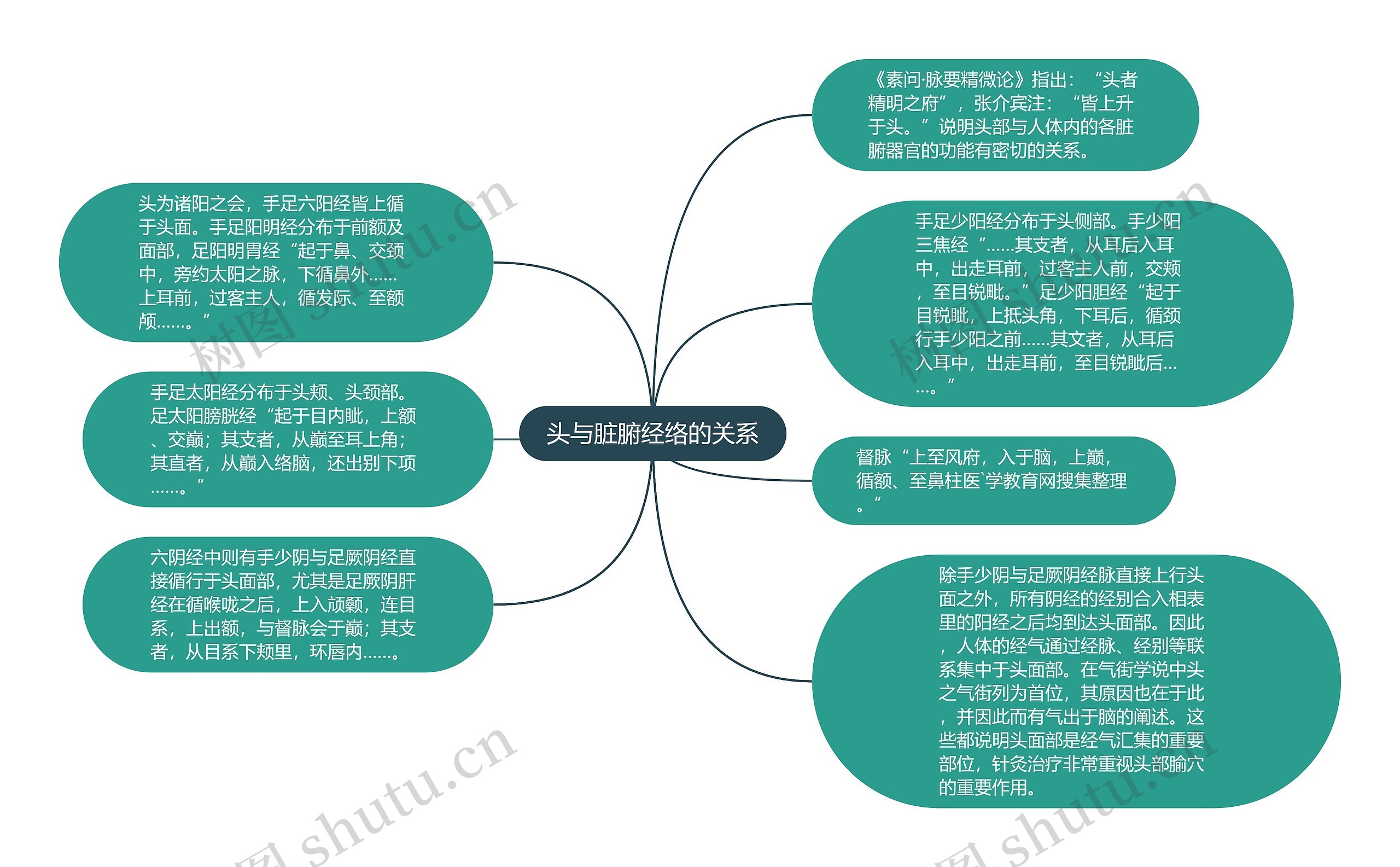 头与脏腑经络的关系