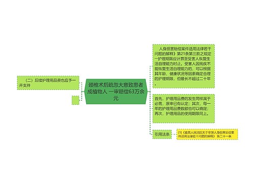 颈椎术后疏忽大意致患者成植物人 一审赔偿63万余元