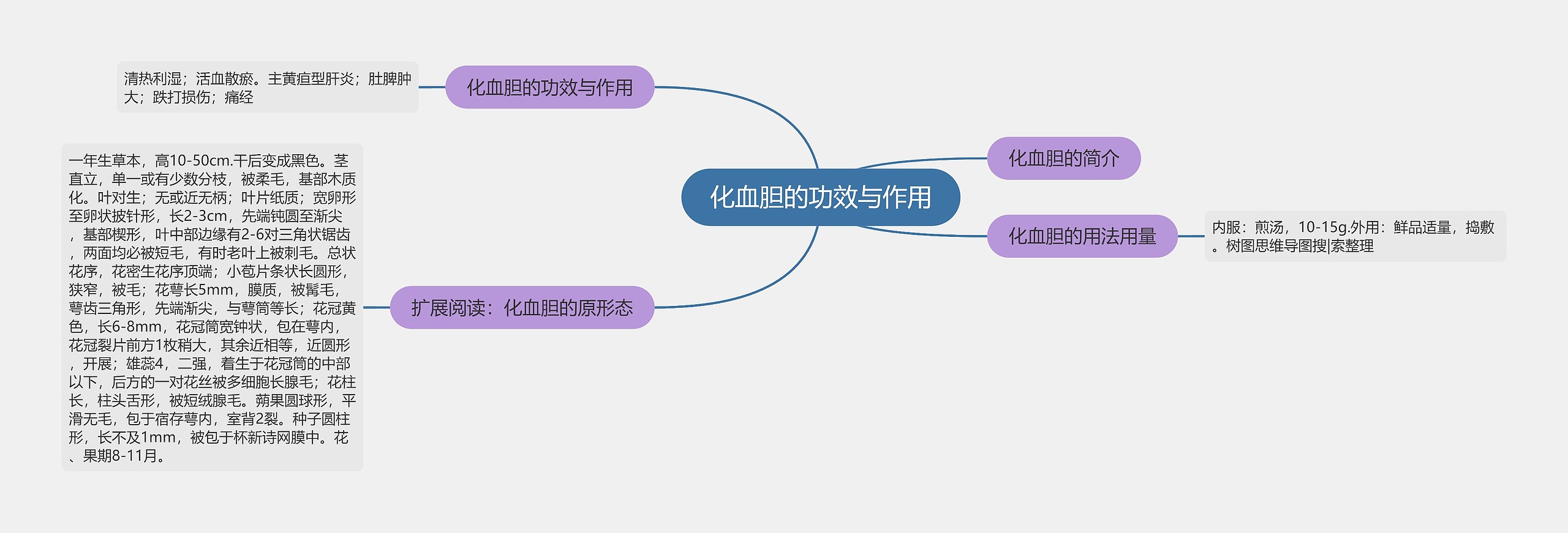 化血胆的功效与作用思维导图