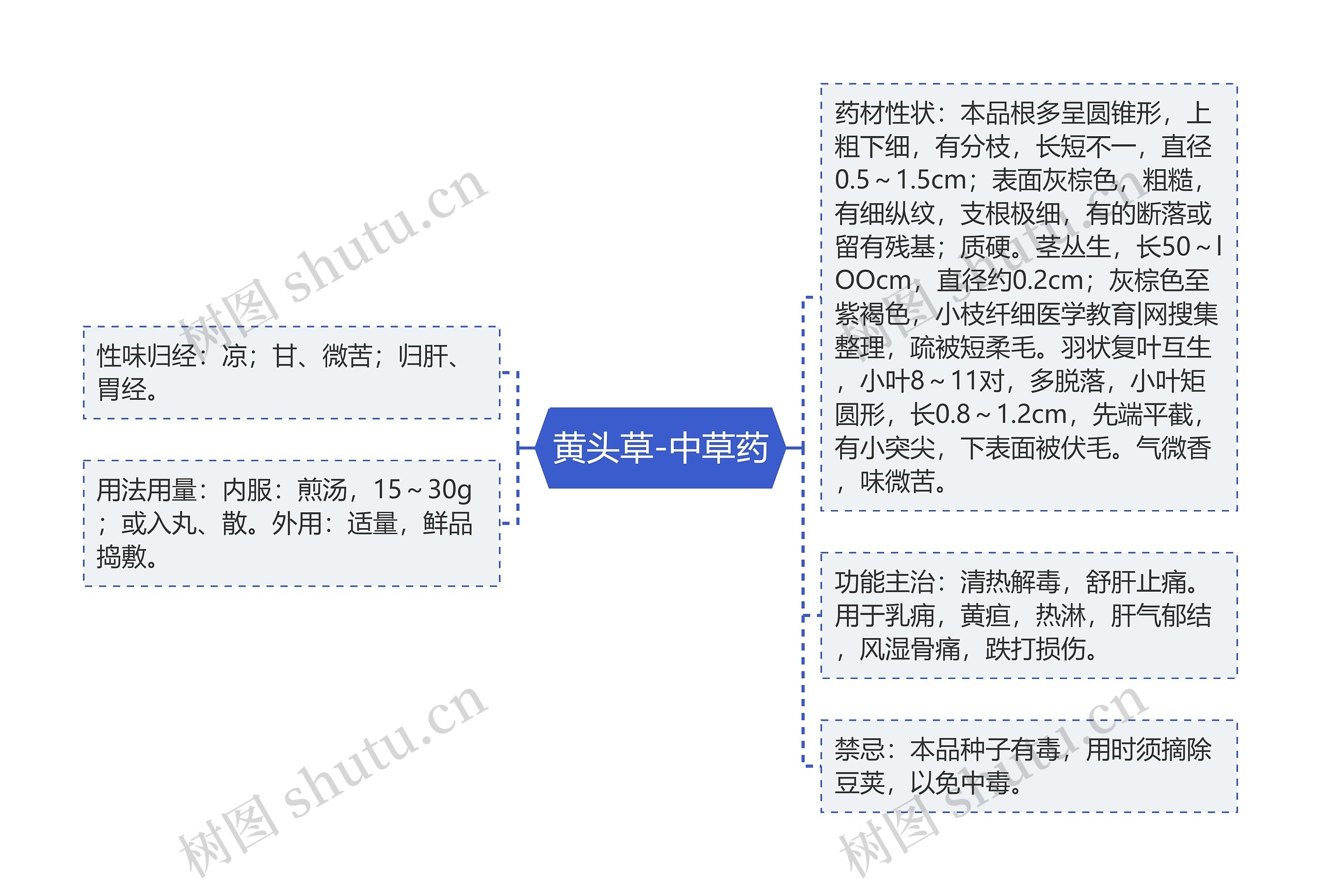 黄头草-中草药思维导图