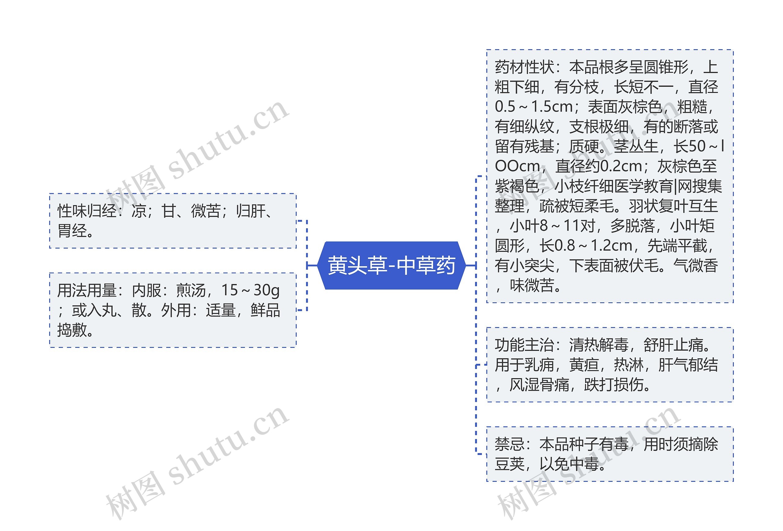 黄头草-中草药 黄头草-中草药