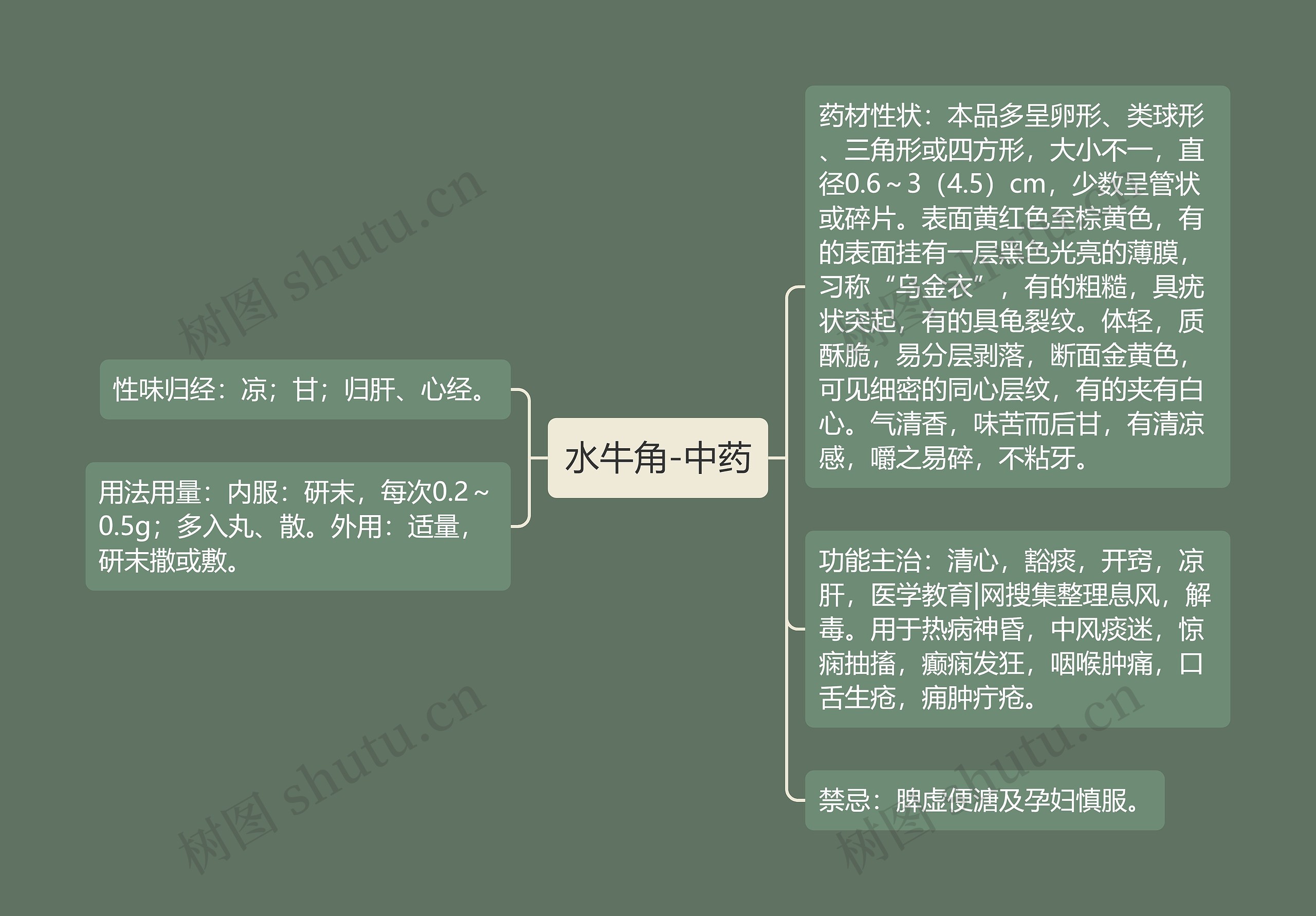 水牛角-中药思维导图