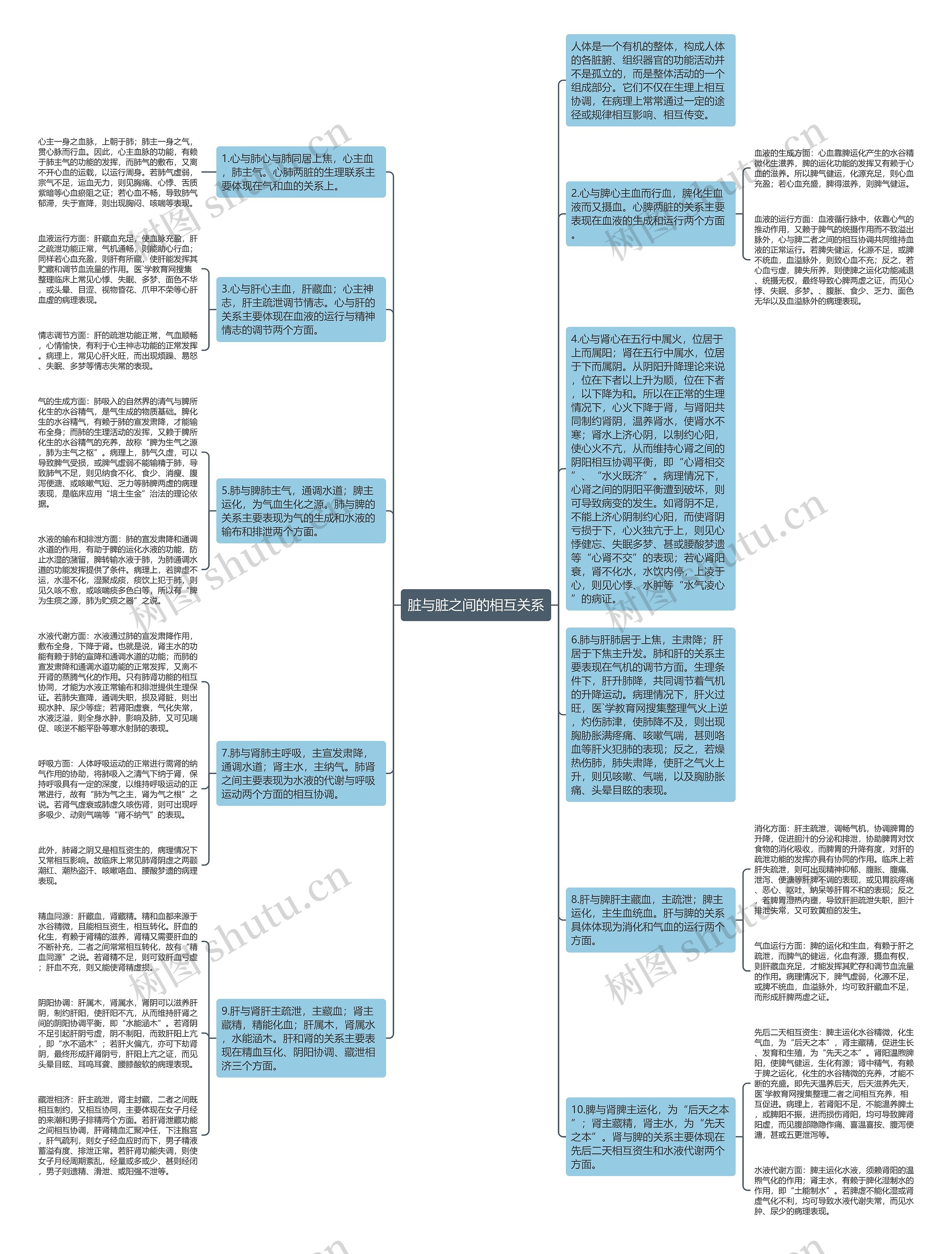 脏与脏之间的相互关系思维导图