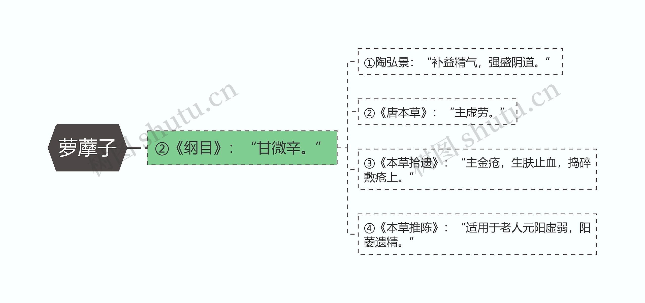 萝藦子思维导图